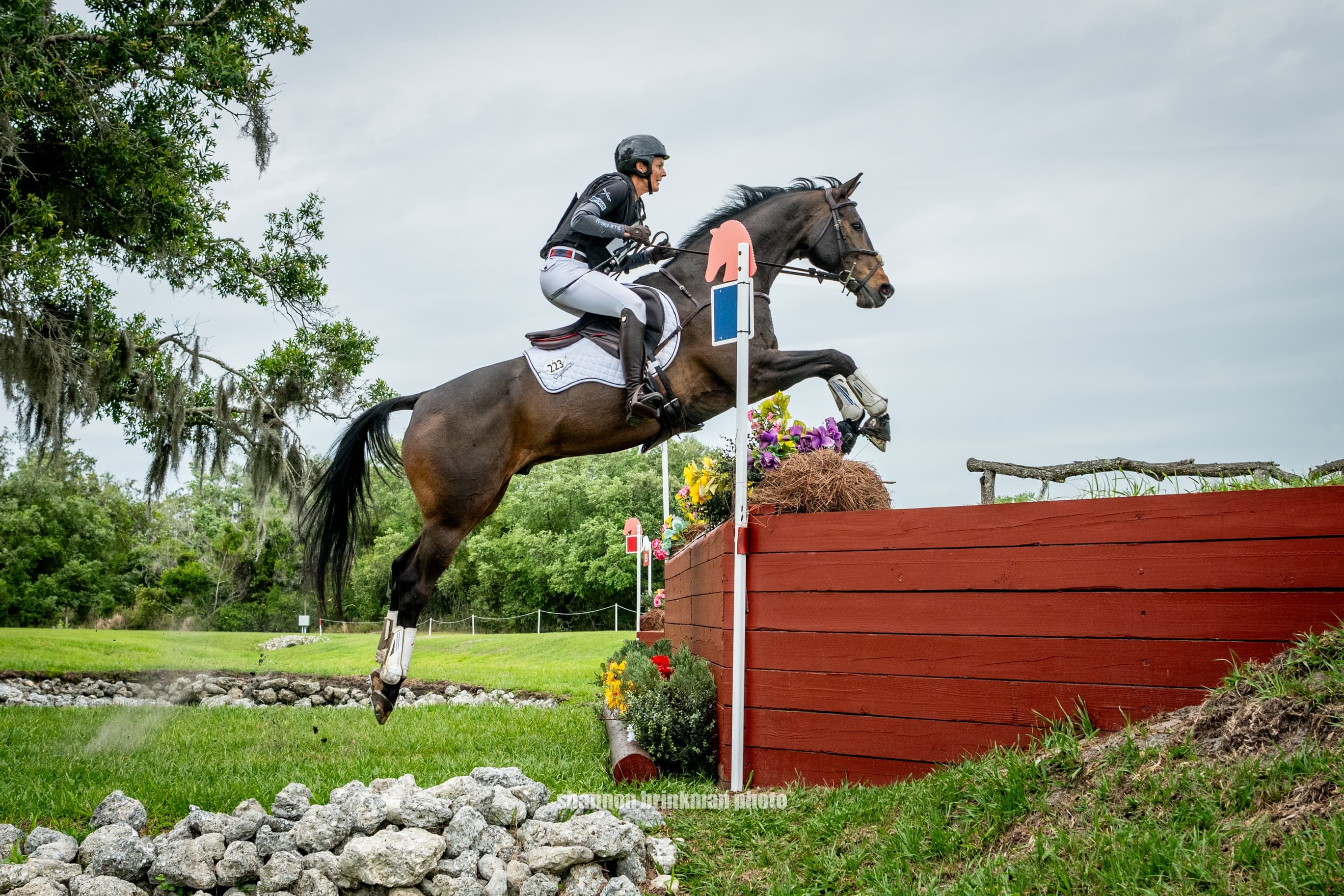 Colleen Loach and FE Golden Eye Fly to the Top of the CCI4*-S at The Event at TerraNova