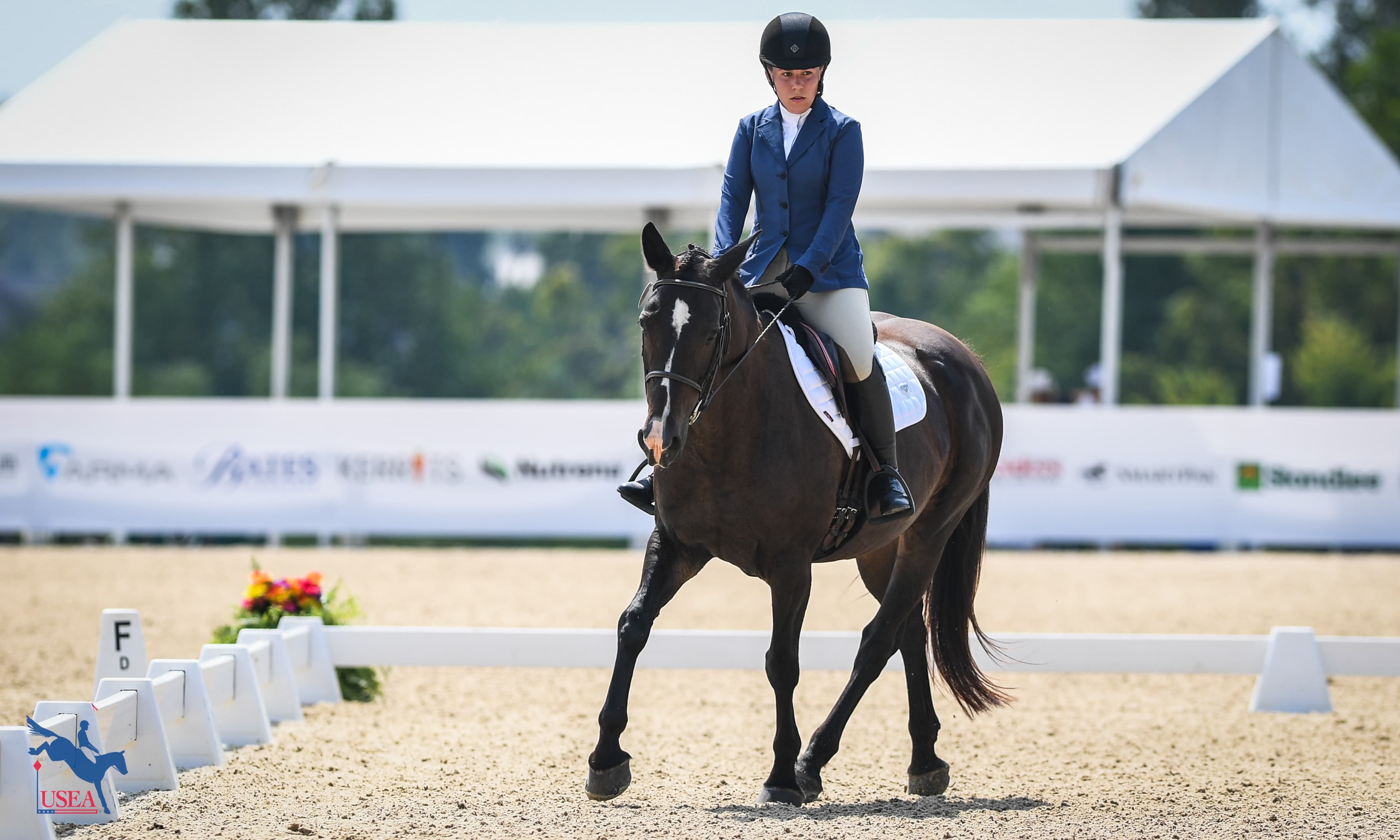 The Small Dressage Arena Quiz: Test Your Knowledge