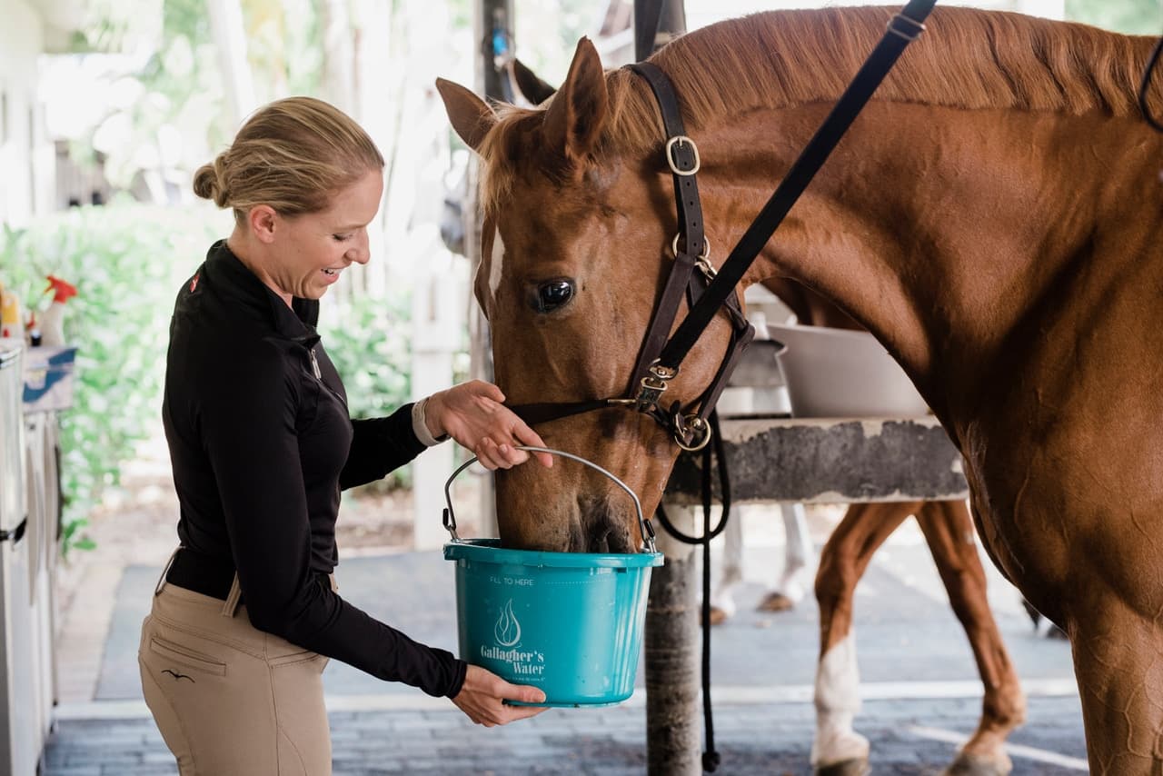 Gallagher’s Water Is Not Just Another Electrolyte
