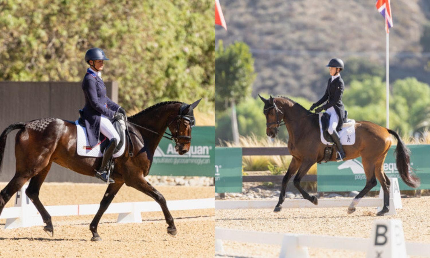 The Eventing Championships at Galway Downs Kicks Off with Dressage