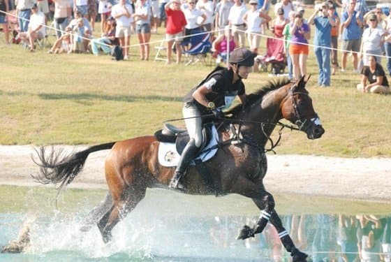 Retired Racehorse’s Second Career