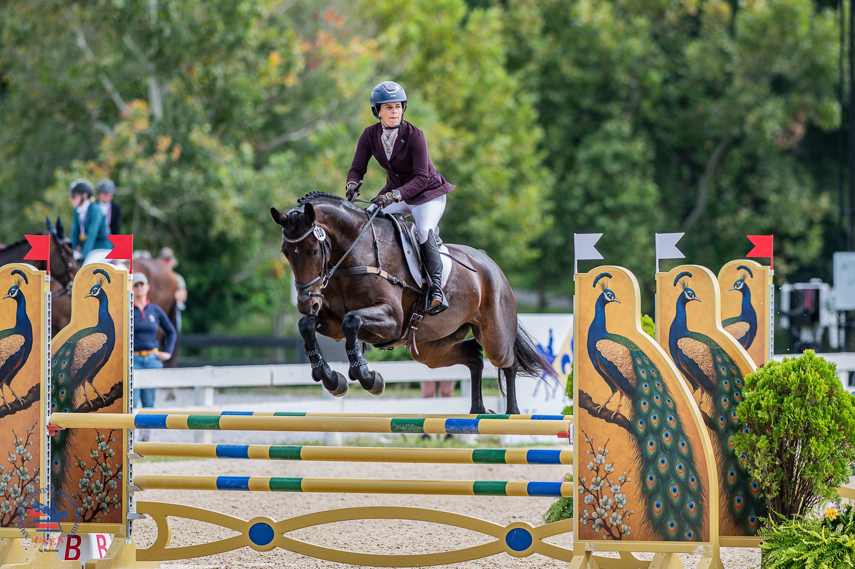 ARMA USEA Training Champions Make Their Mark at the Kentucky Horse Park