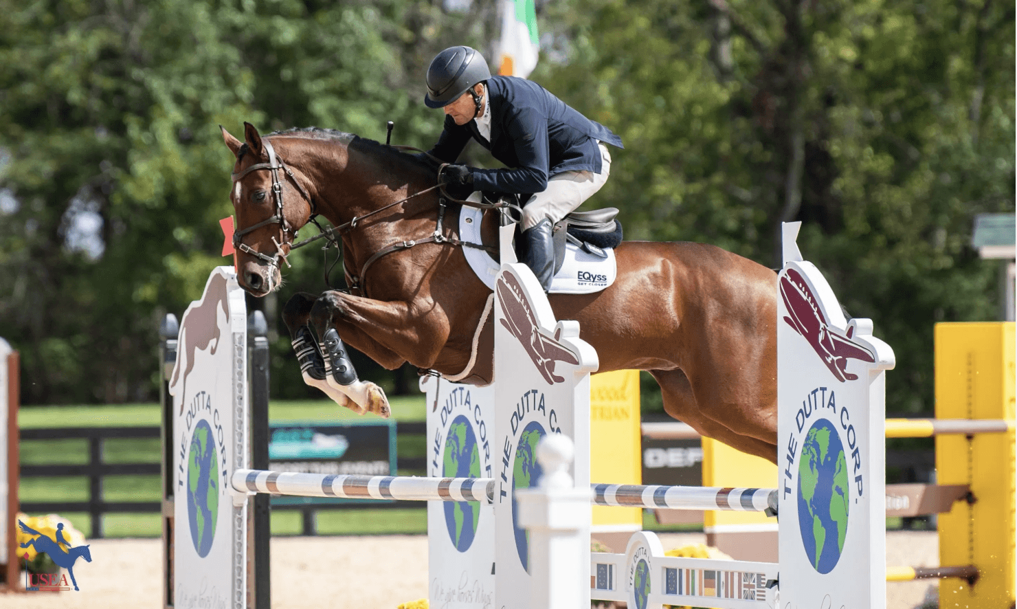 The Race to Le Lion: Darwinn Set to Receive 2026 Holekamp/Turner Grant