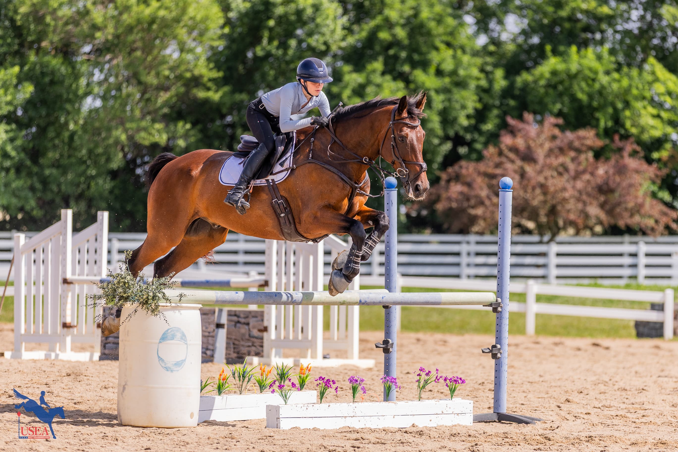 Sophia Street. USEA/Haley Johnson photo