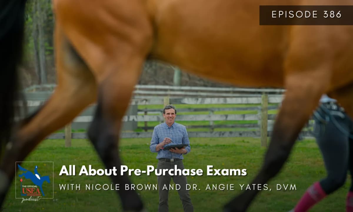 USEA Podcast #386: All About Pre-Purchase Exams