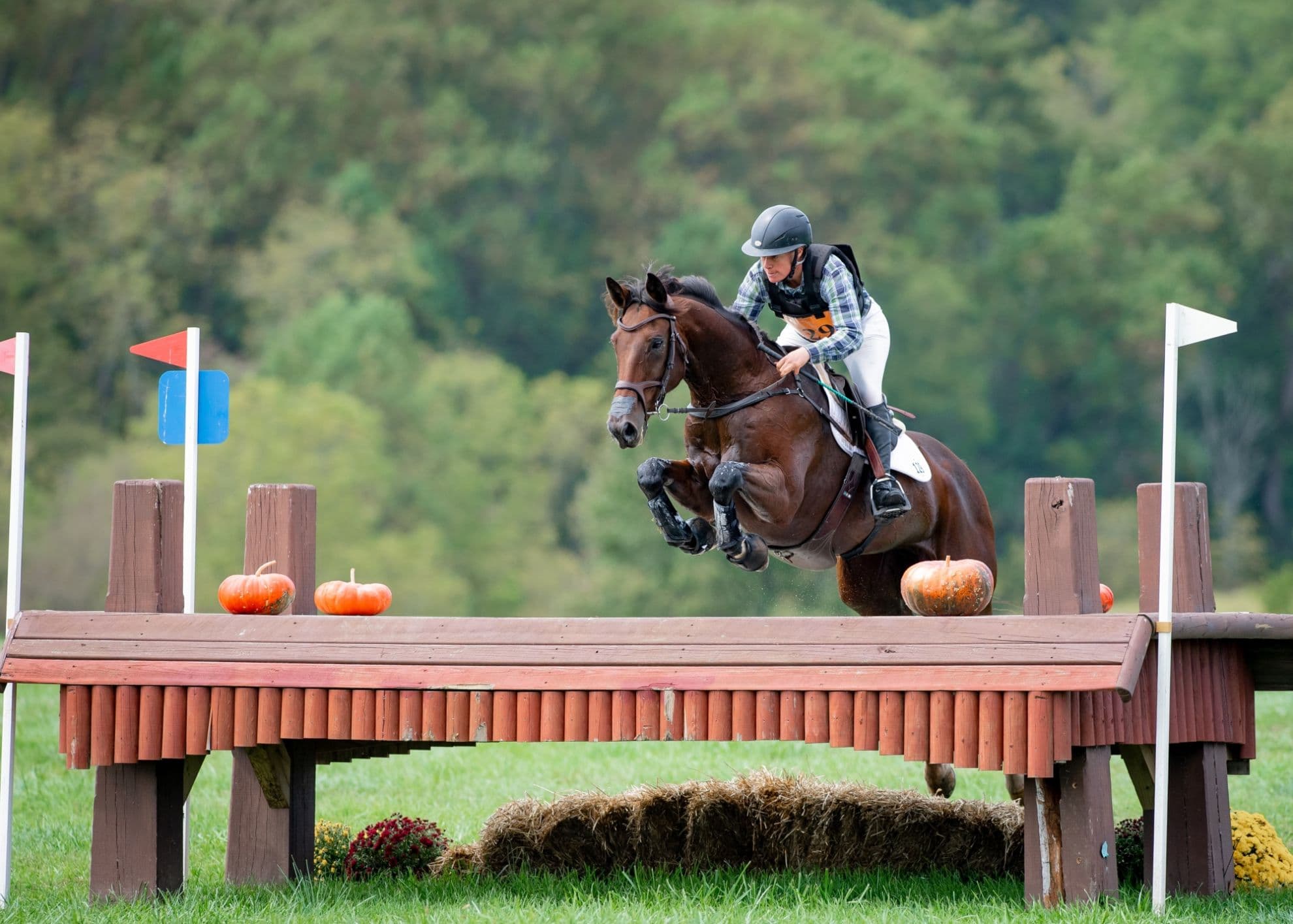 Renew Your USEA Membership for the 2026 Season Today