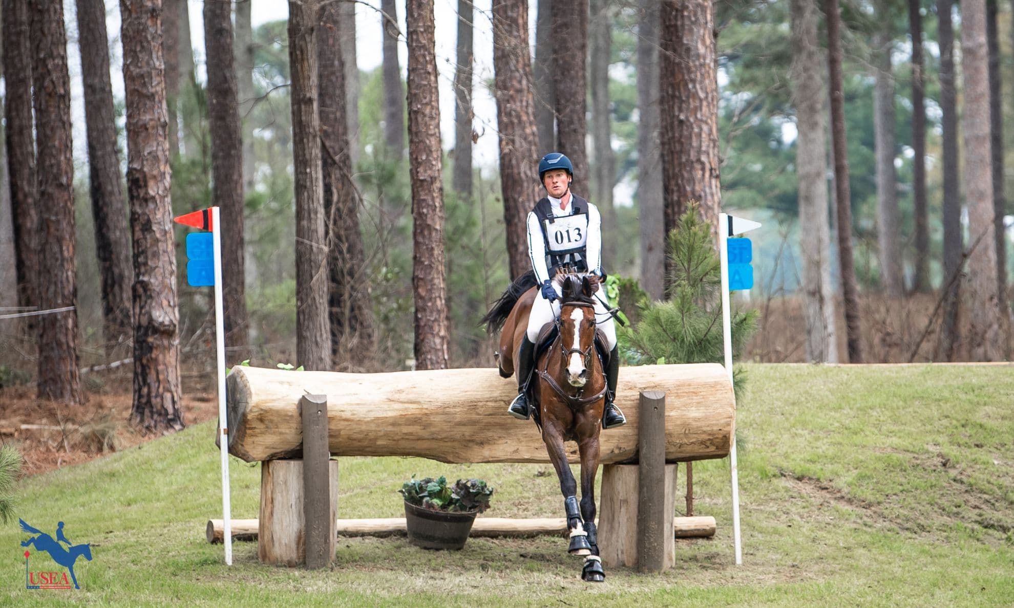 Catch Up on Carolina Coverage!