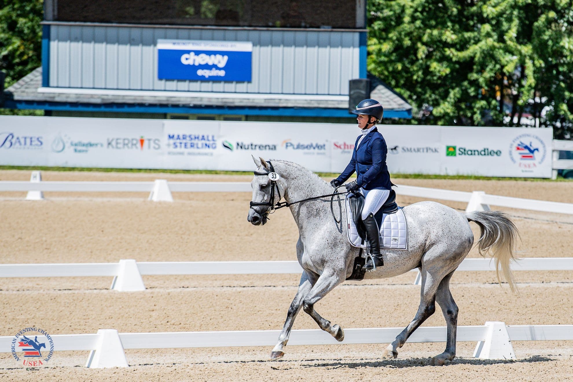 Dressage Kicks Off the Fun at the #AEC2026