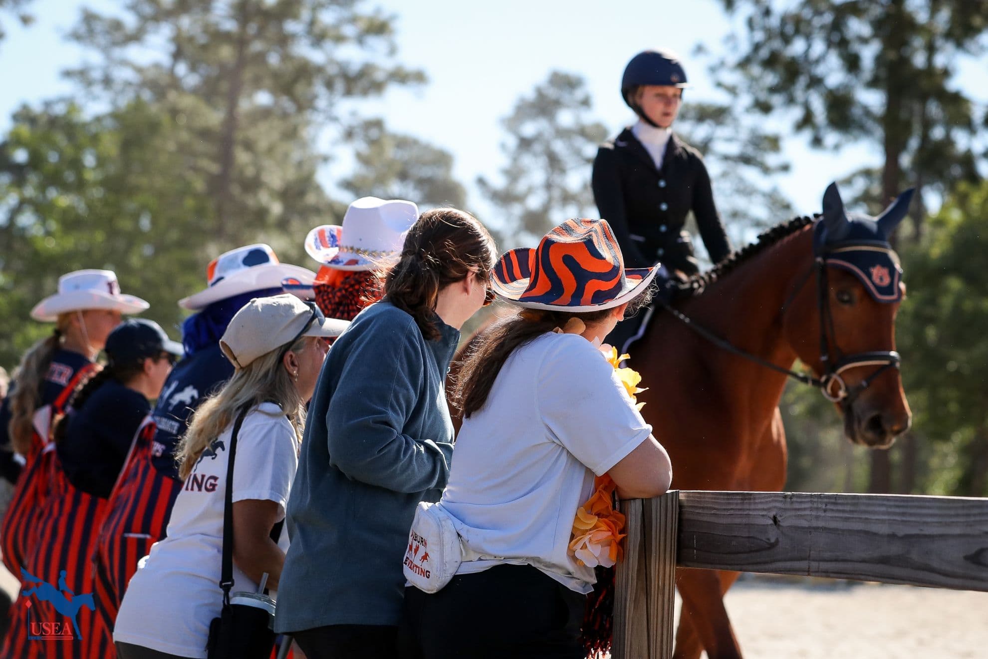 Welcome to the USEA Intercollegiate & IEL Championships!