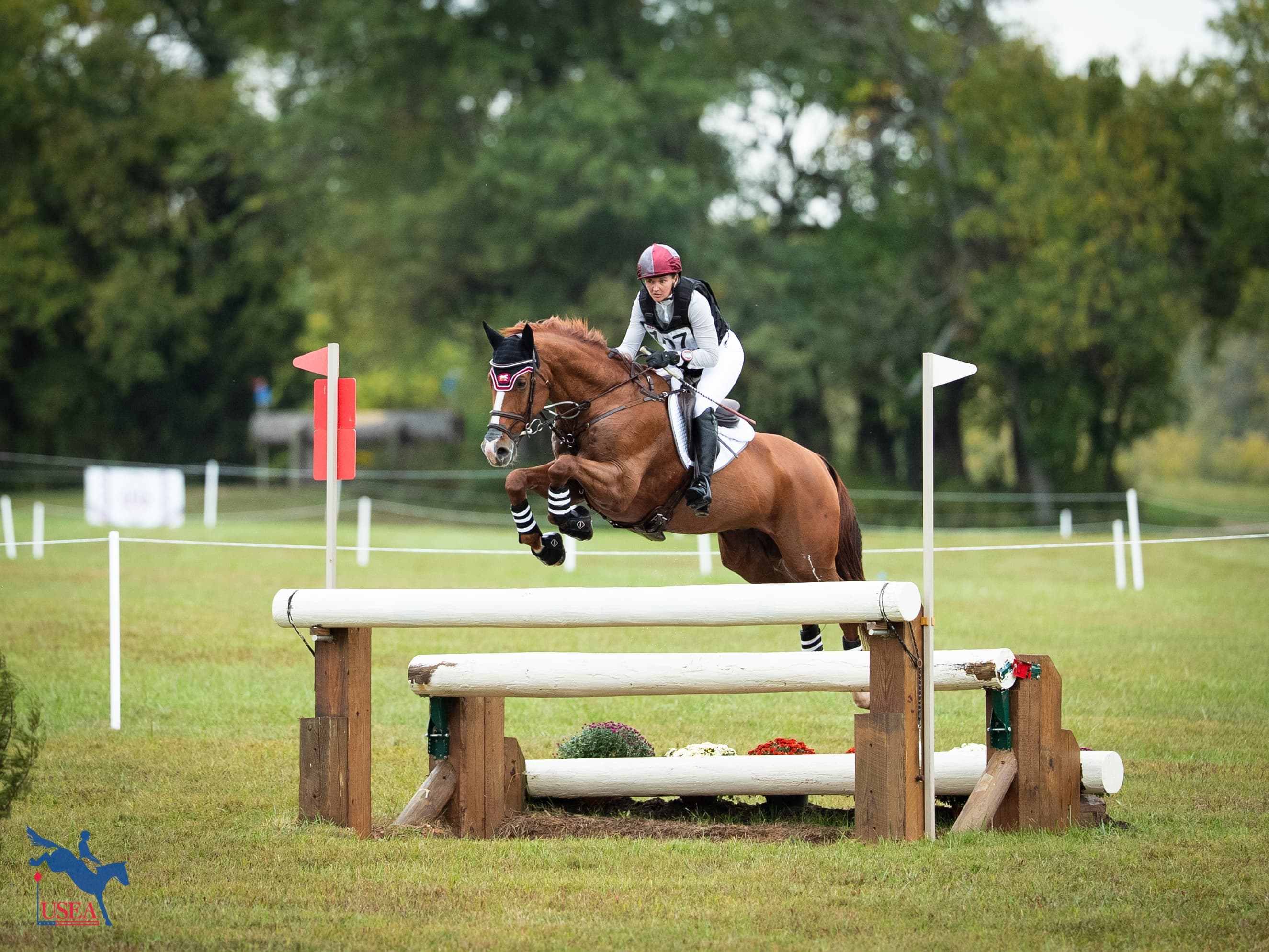 Orpheus Rises to the Top to Claim USEA/USEF 7-Year-Old Developing Horse National Championship