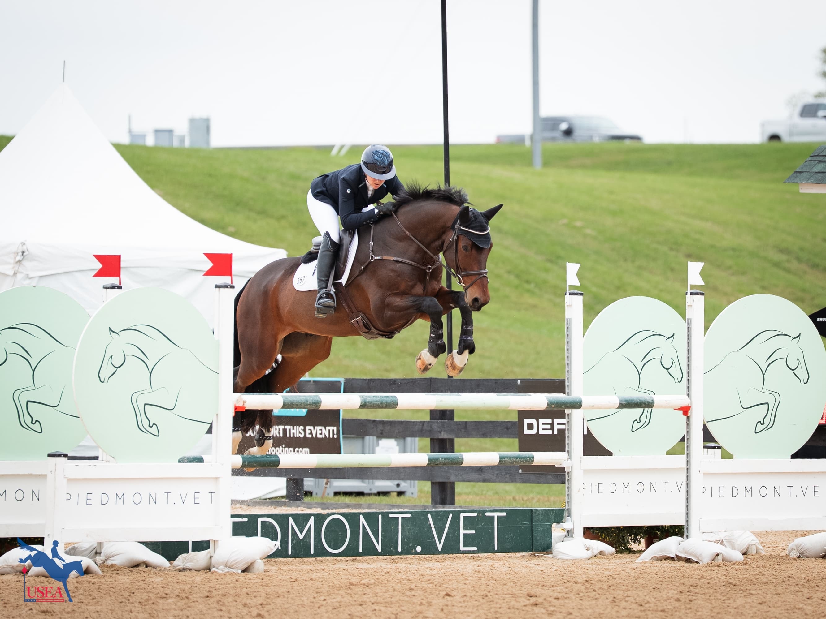 Prince of Oolde Maintains Lead Following Show Jumping at USEA/USEF Developing Horse Championships
