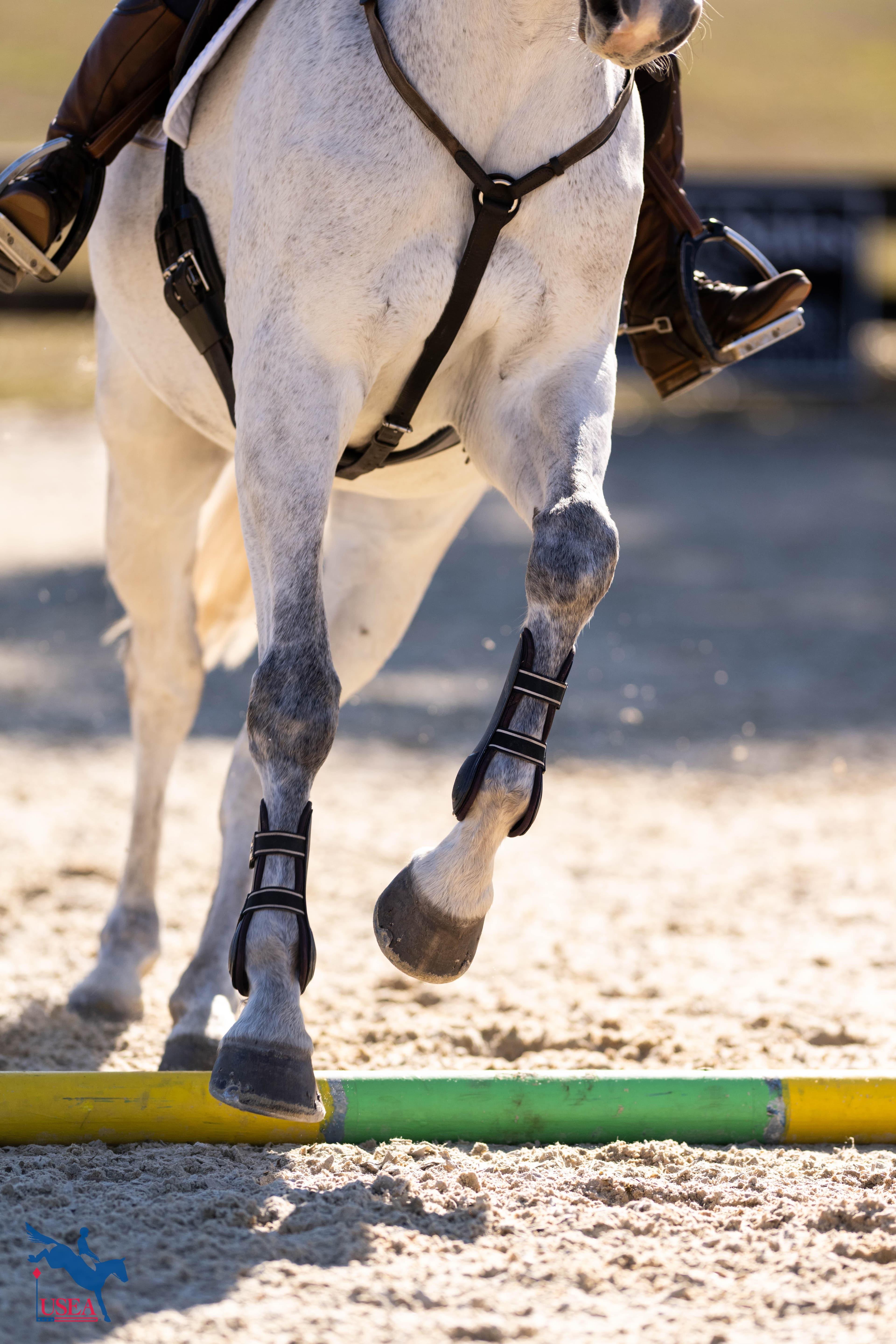 USEA/Atalya Boytner photo