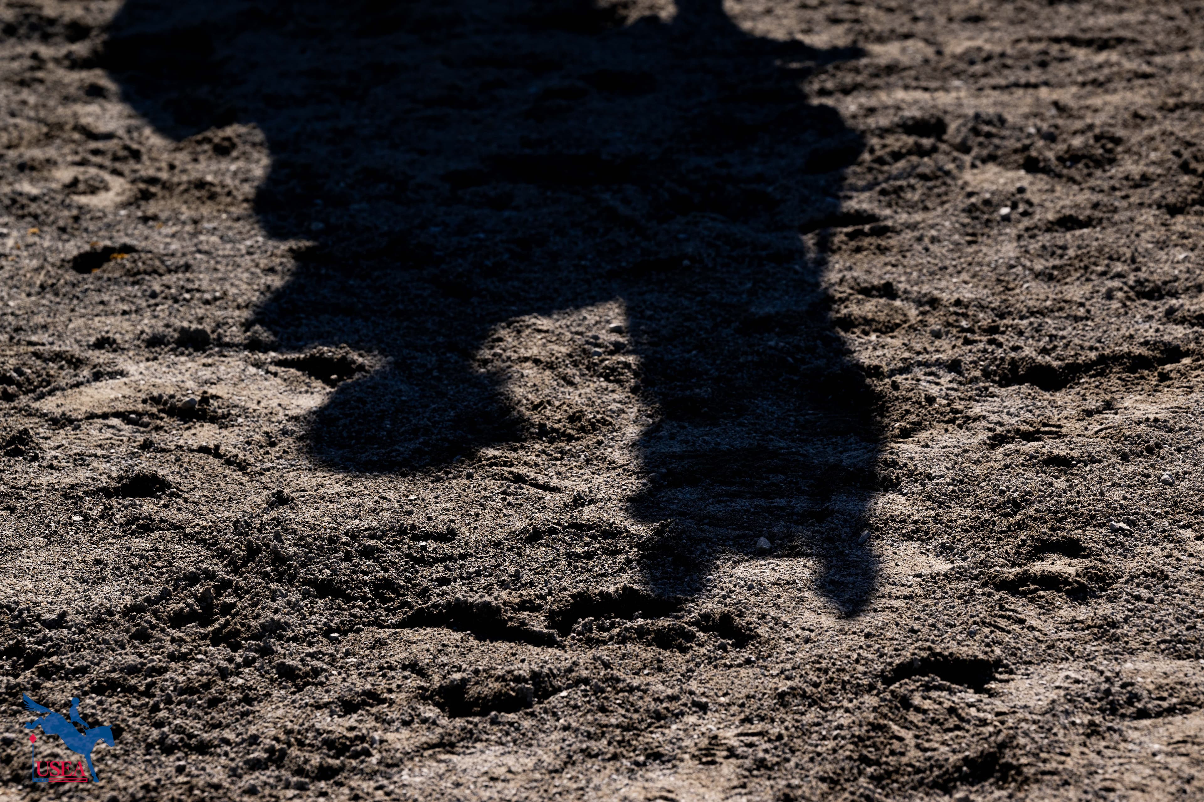 USEA/Atalya Boytner photo