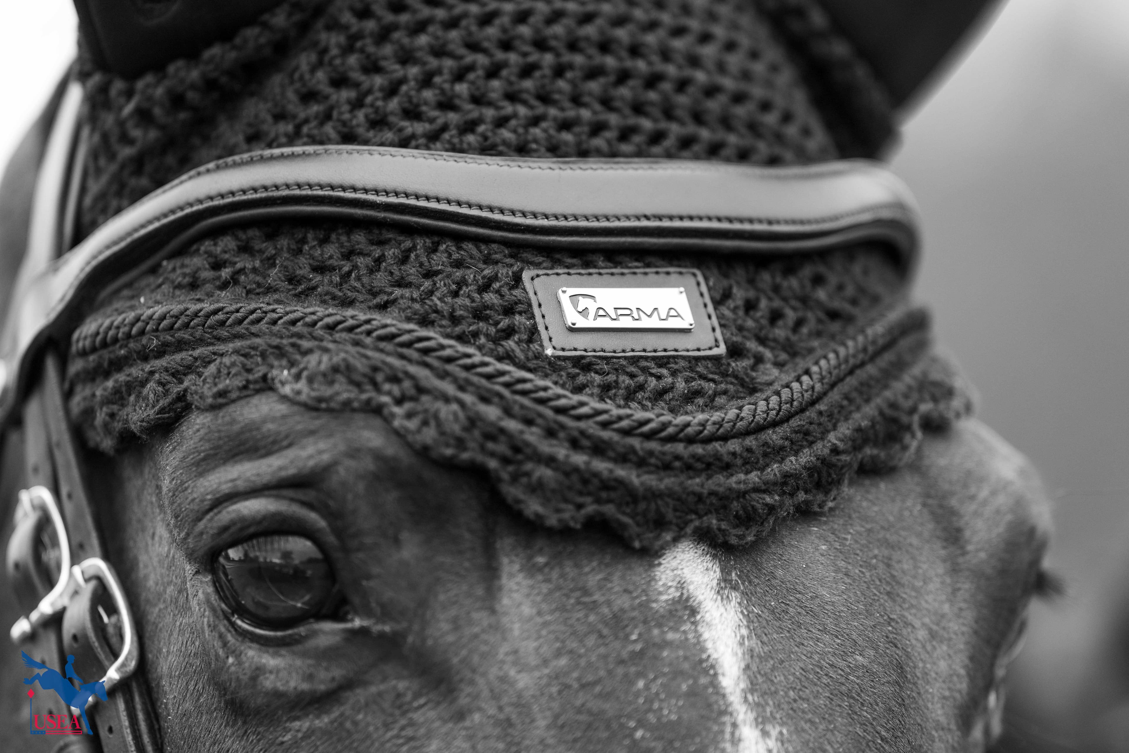 USEA/Atalya Boytner photo