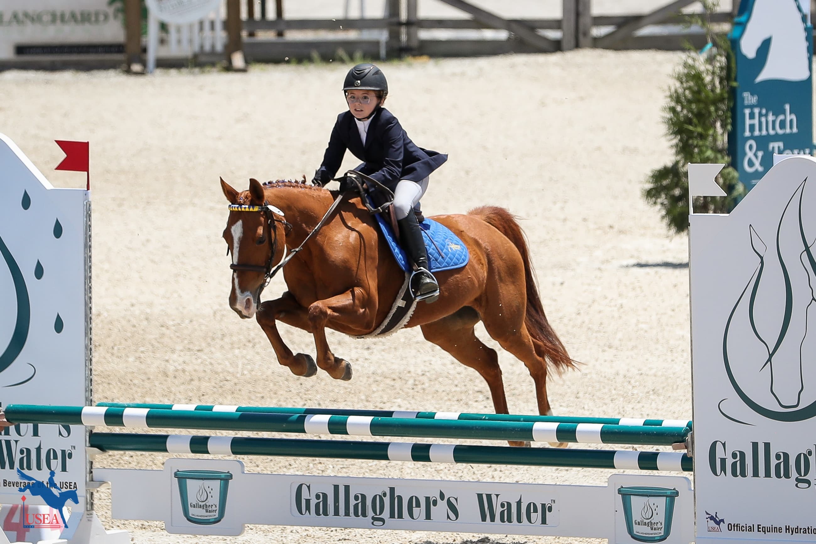 USEA/Annan Hepner photo