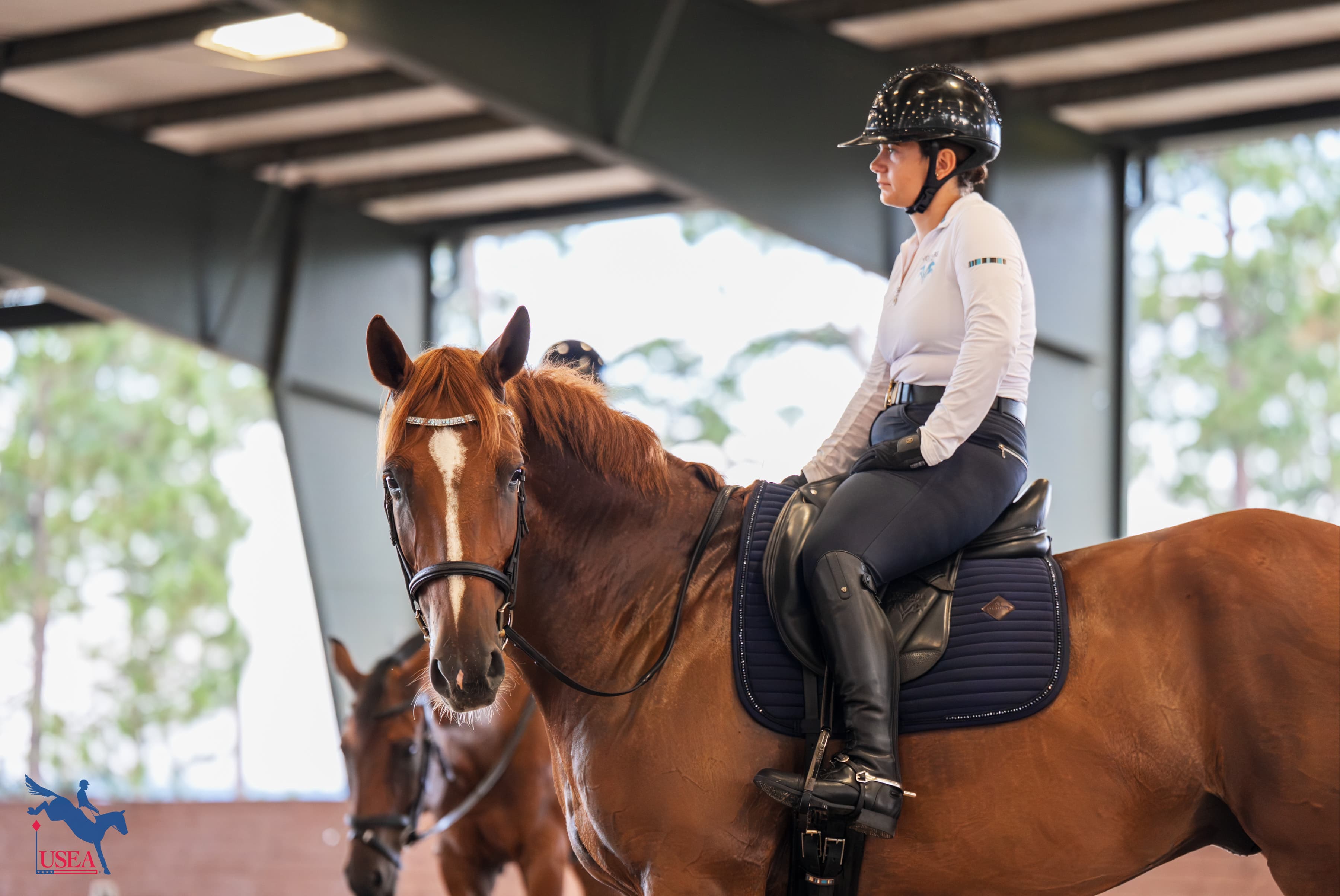 USEA/Christine Quinn photo