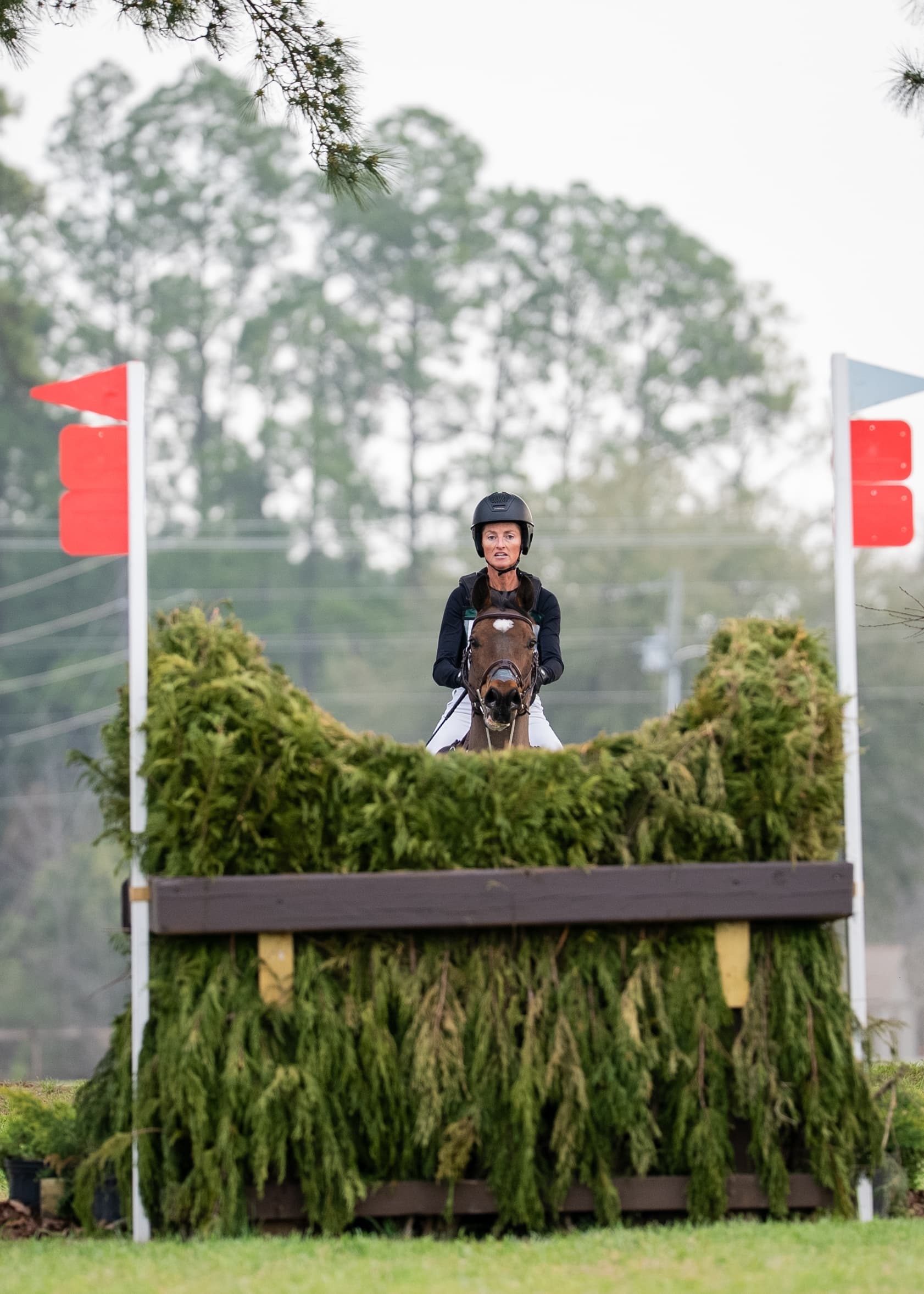 USEA/Lindsay Berreth photo