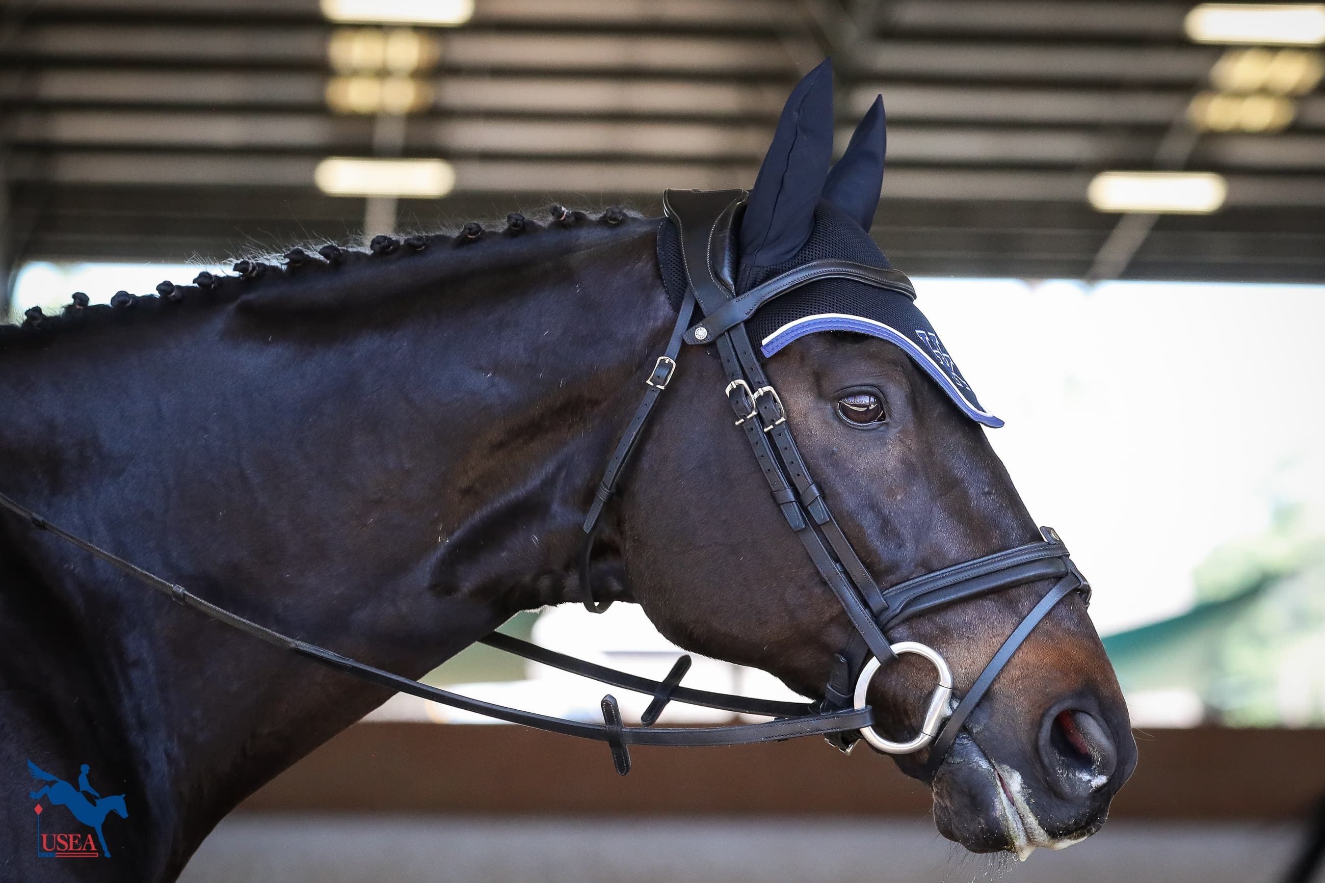 USEA/Annan Hepner photo