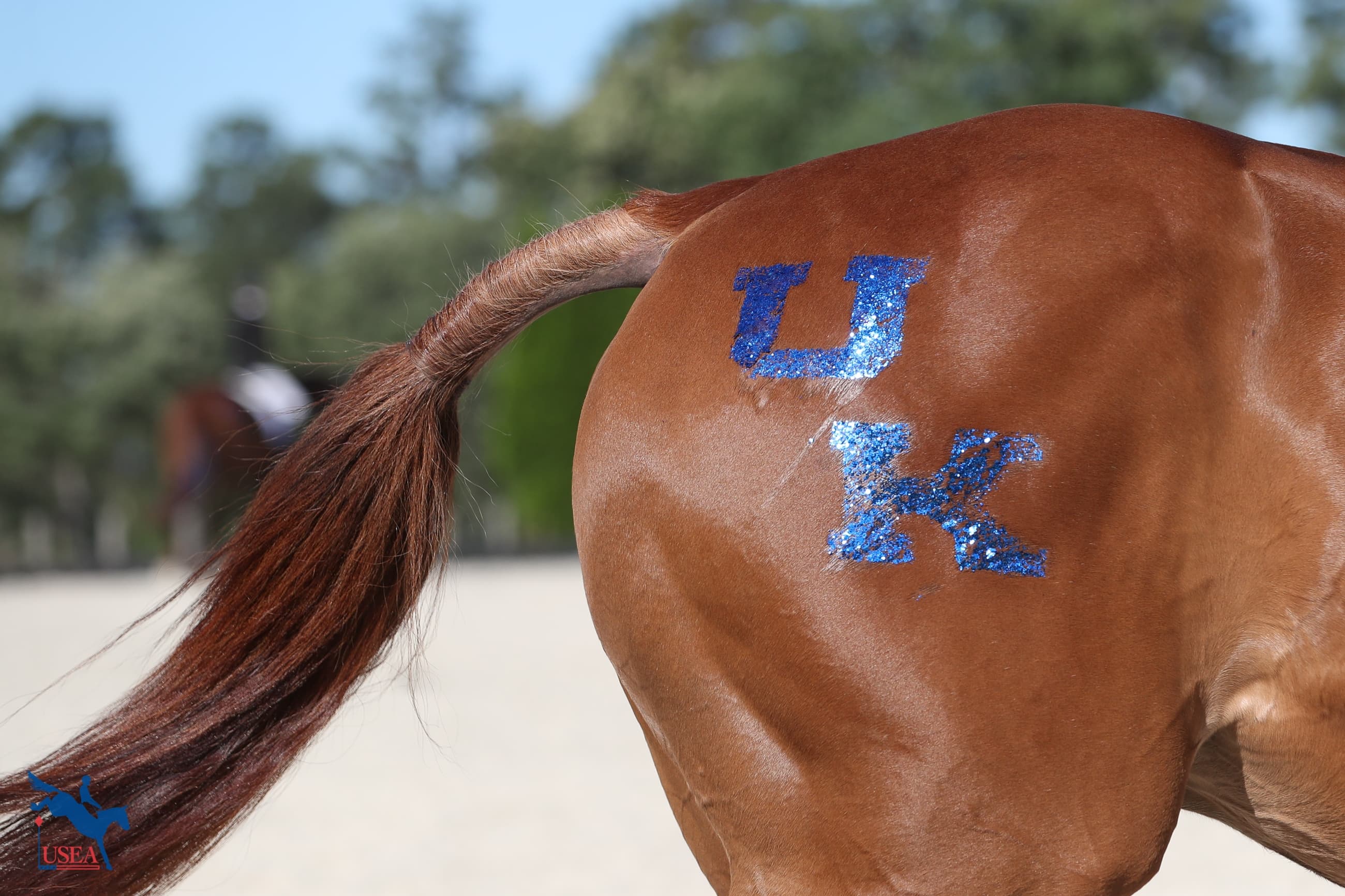 USEA/Annan Hepner photo