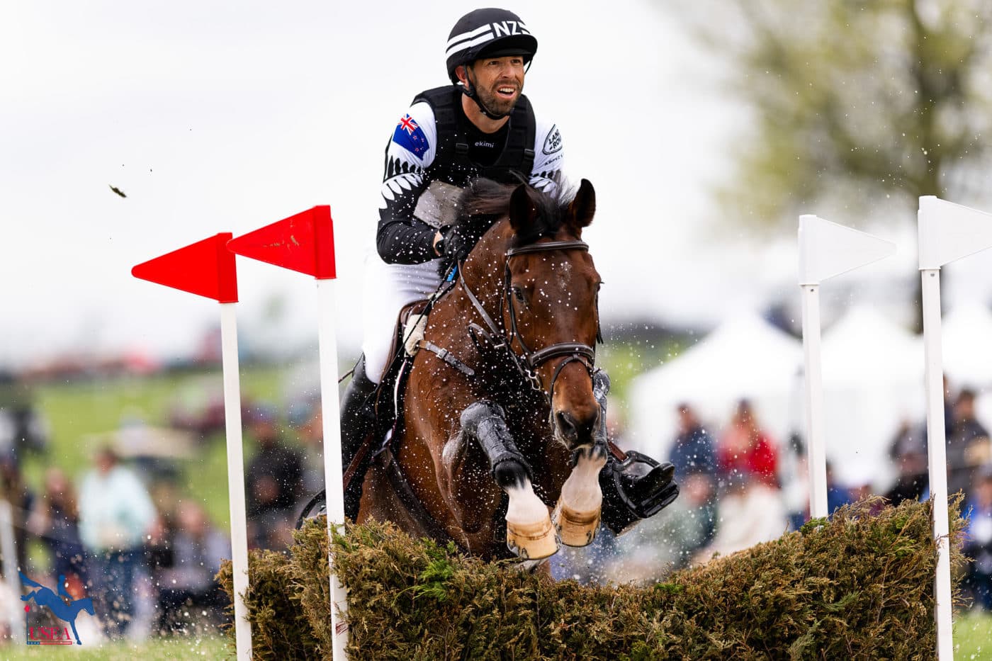 USEA/Atalya Boytner photo