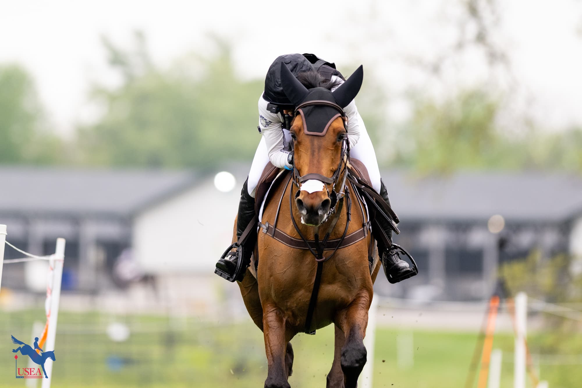 USEA/Atalya Boytner photo