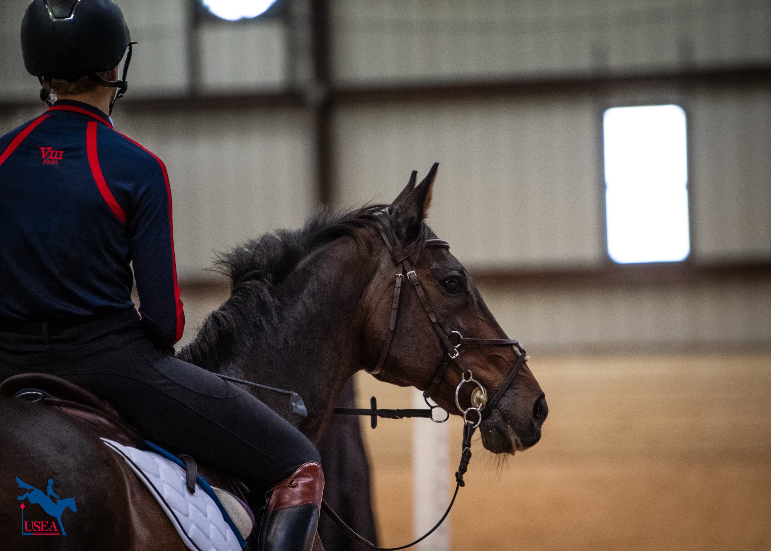 USEA/Lindsay Berreth photo