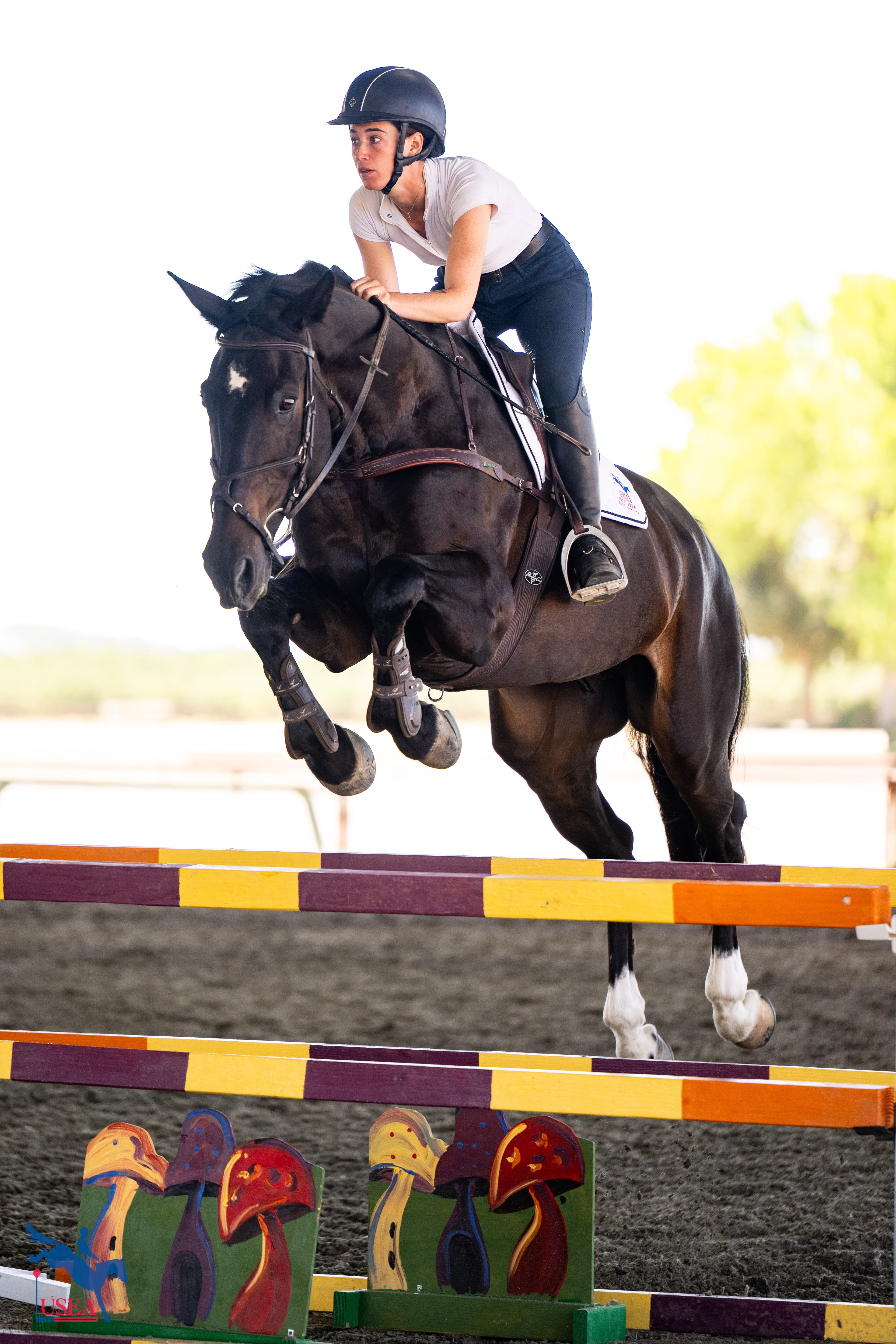 USEA/Atalya Boytner photo