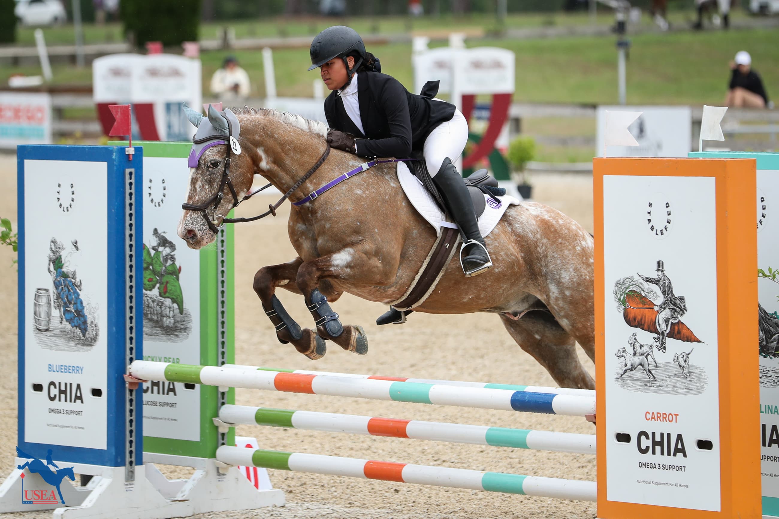 USEA/Annan Hepner photo