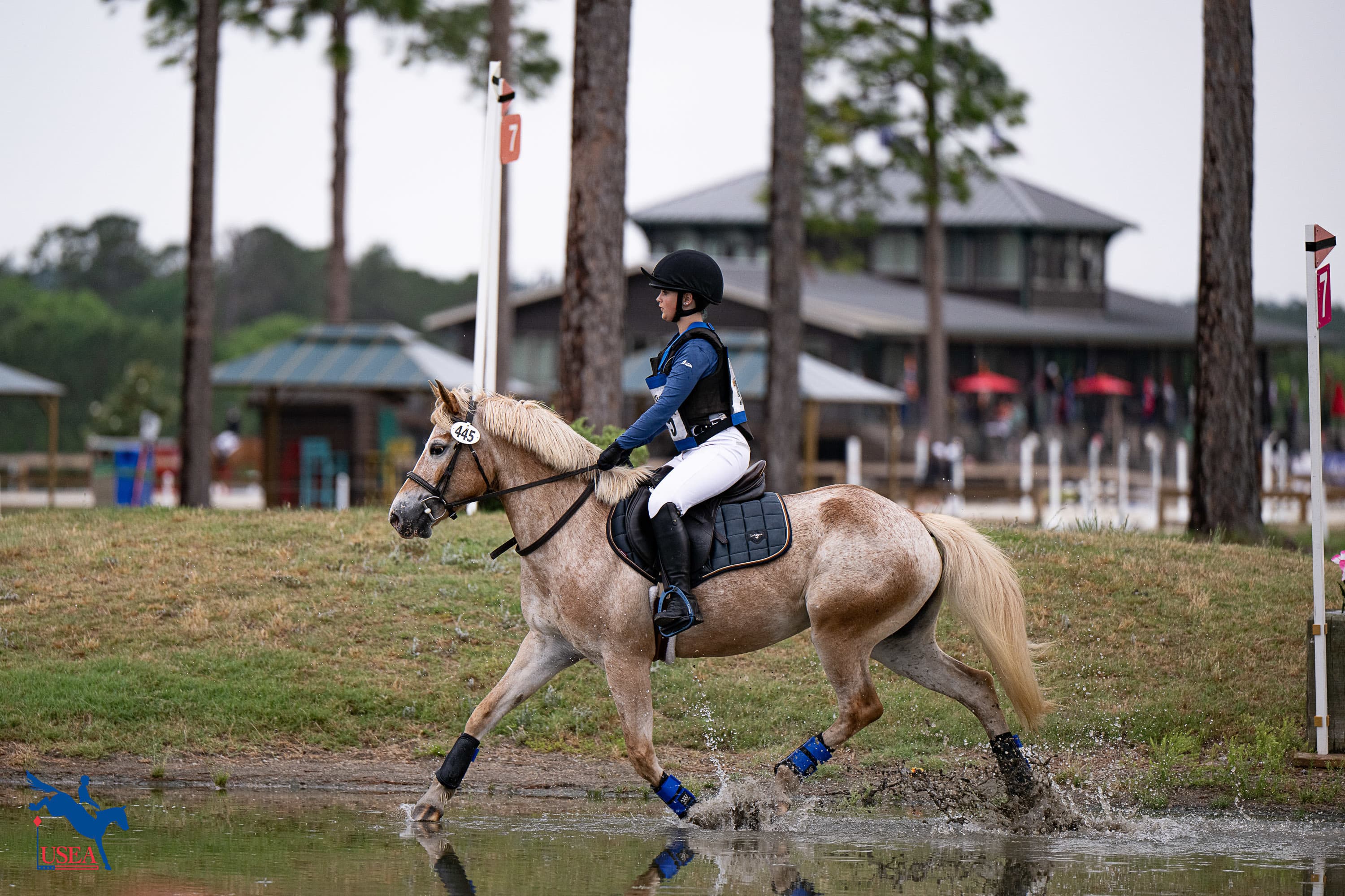 USEA/Veronica Green-Gott photo