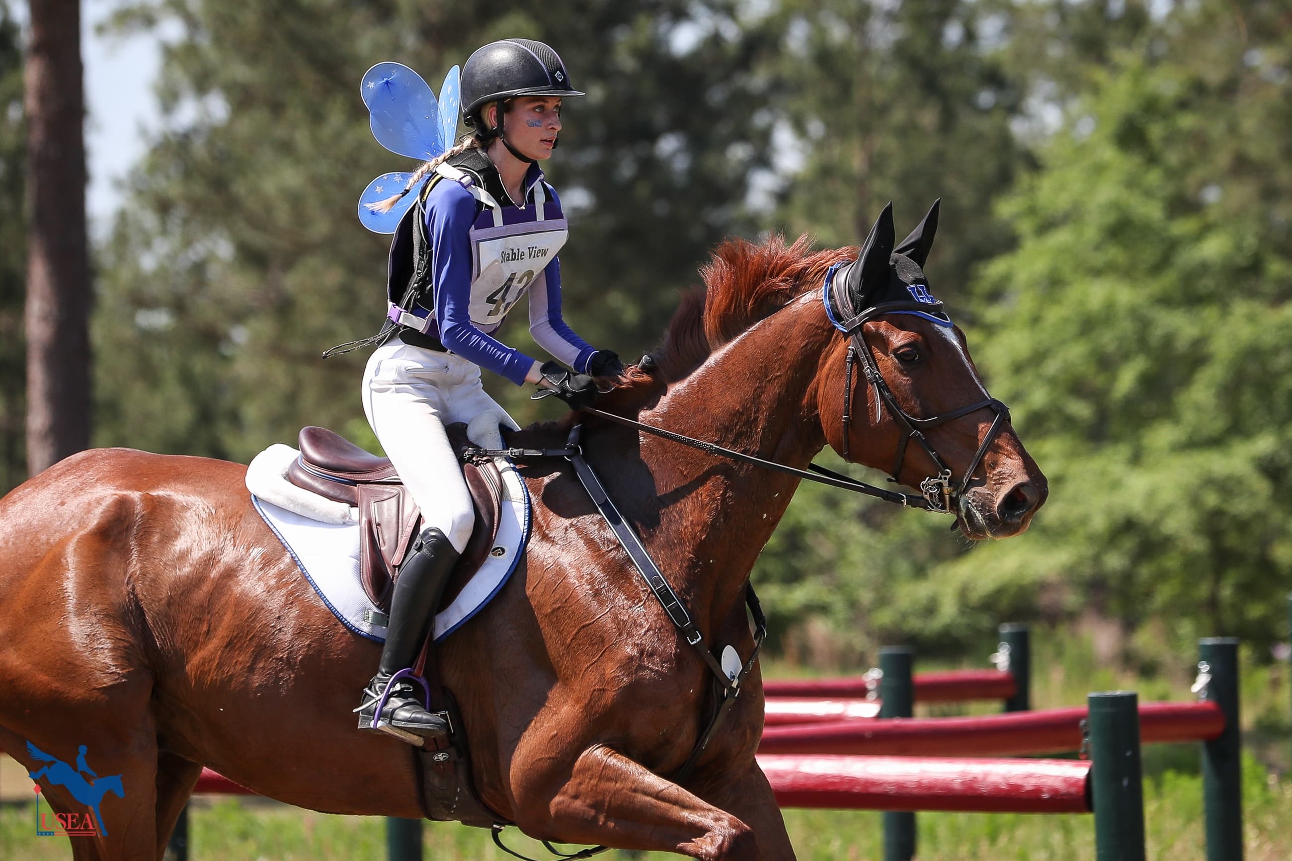 USEA/Annan Hepner photo