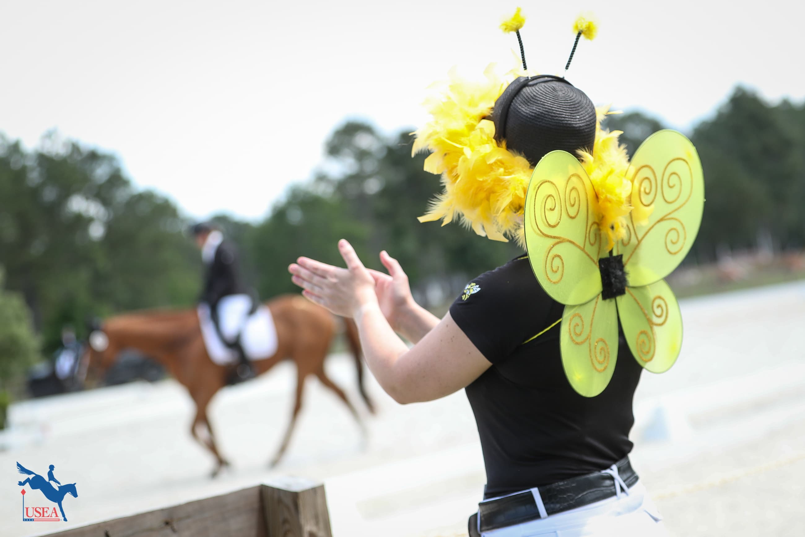 USEA/Annan Hepner photo