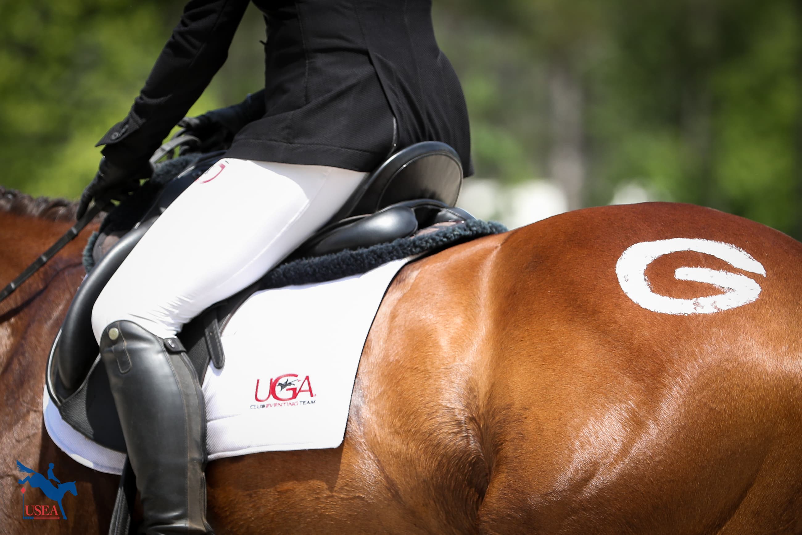 USEA/Annan Hepner photo