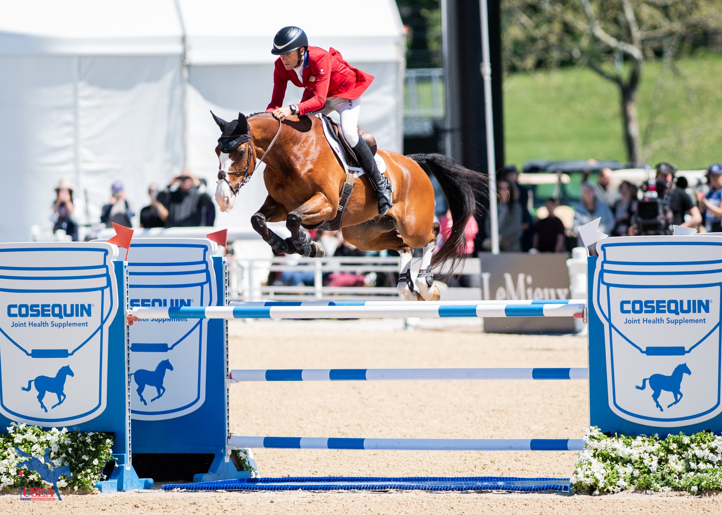 6th I Boyd Martin and Fedarman B. USEA/Lindsay Berreth photo