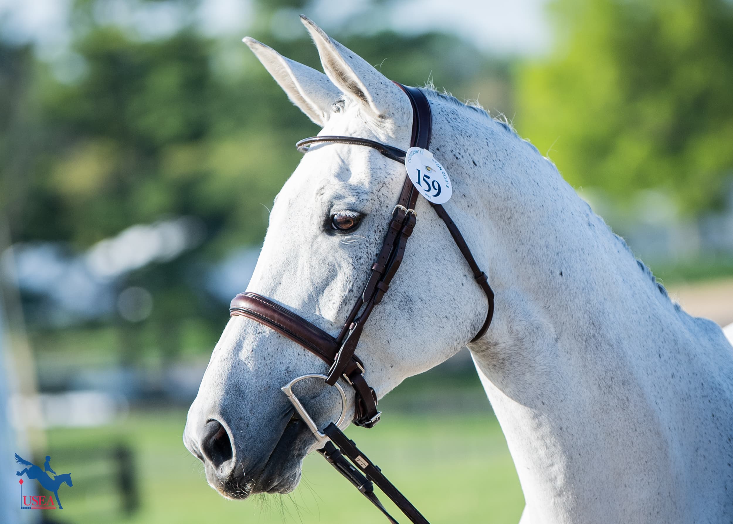 Diara. USEA/Lindsay Berreth photo