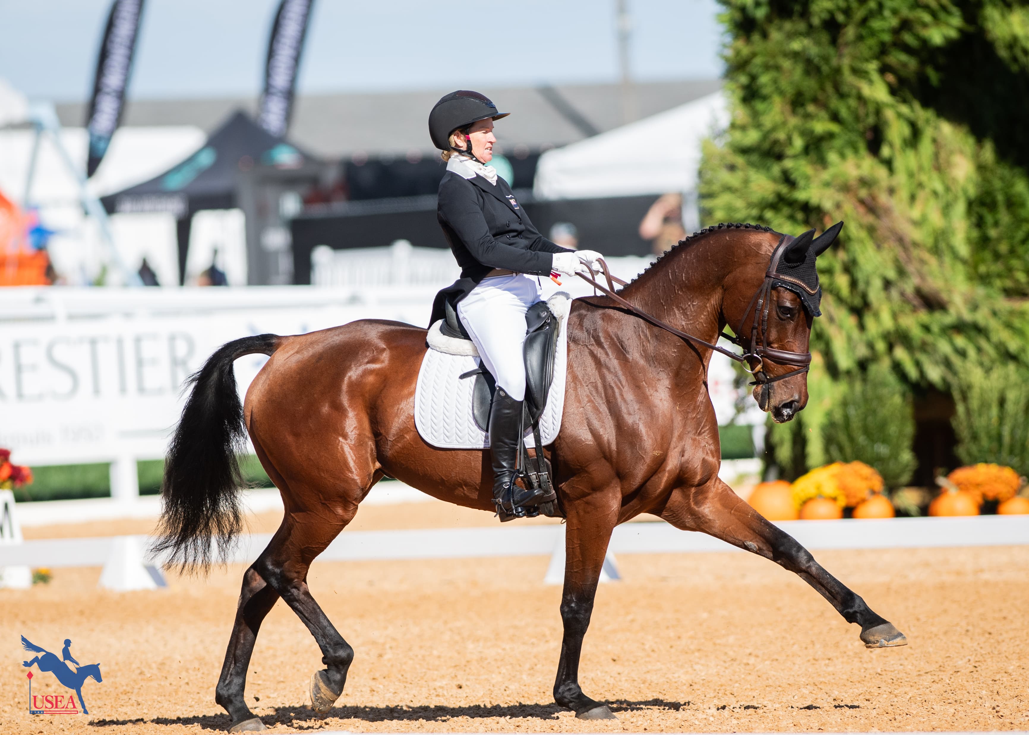 USEA/Lindsay Berreth photo