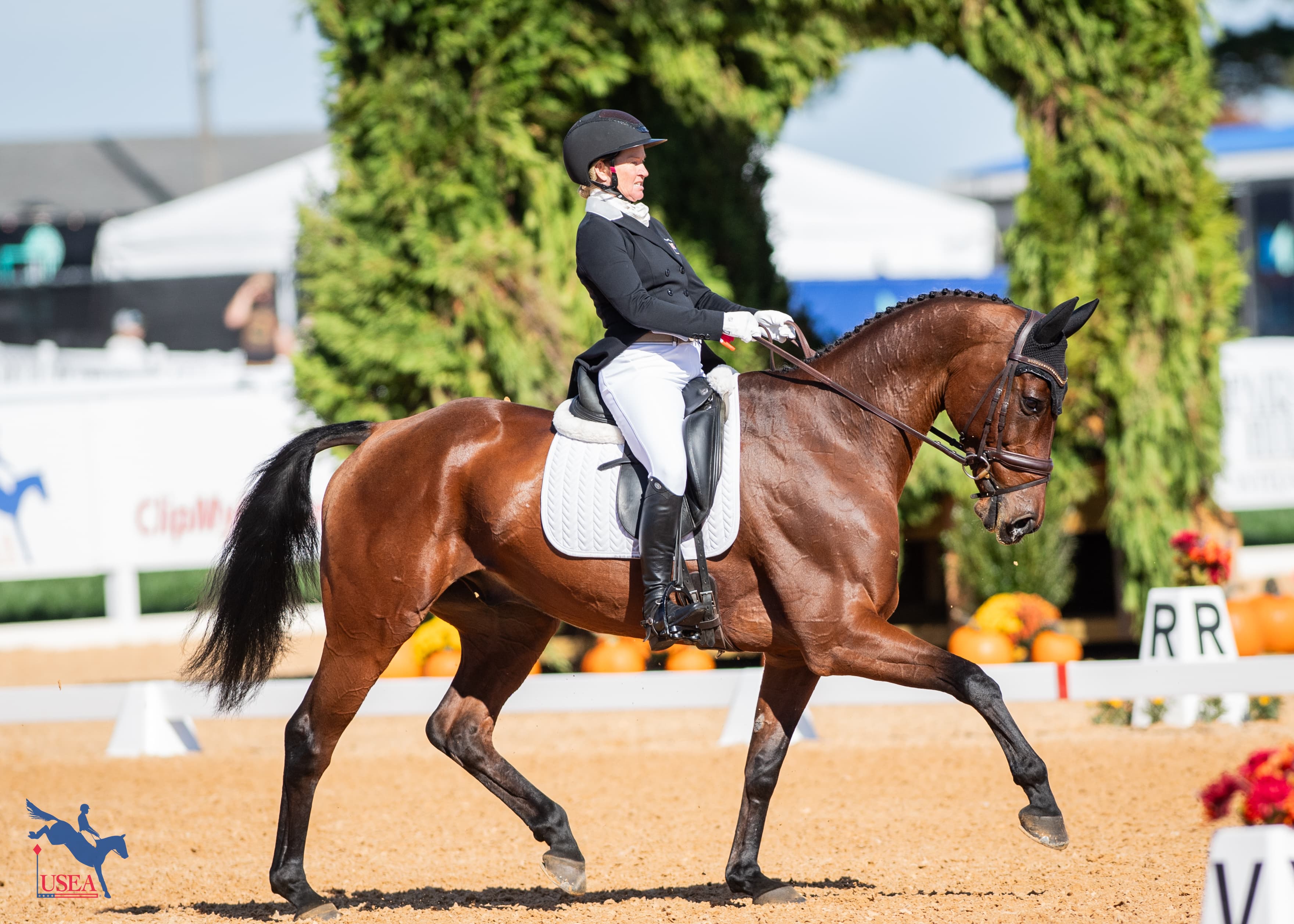 4th tied | Jonelle Price and Chilli's Midnight Star. USEA/Lindsay Berreth photo