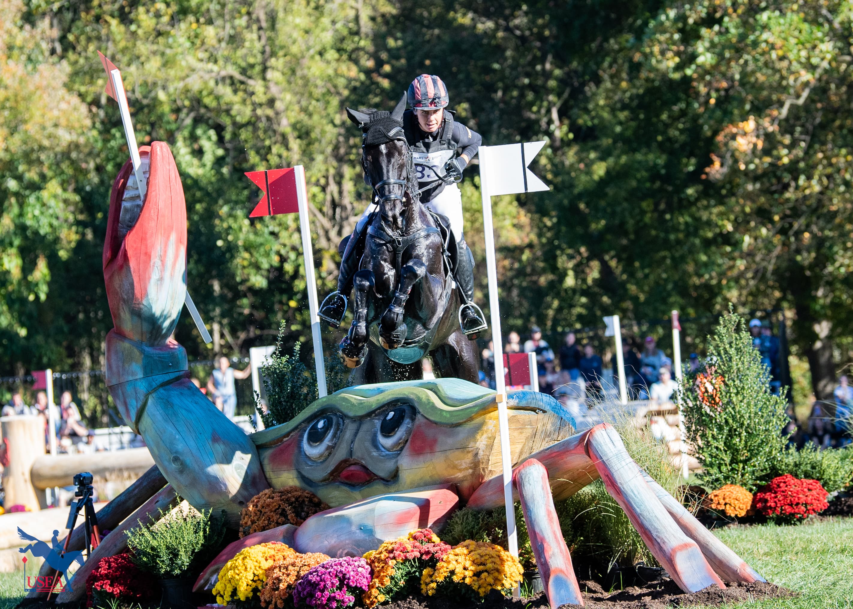 USEA/Lindsay Berreth photo