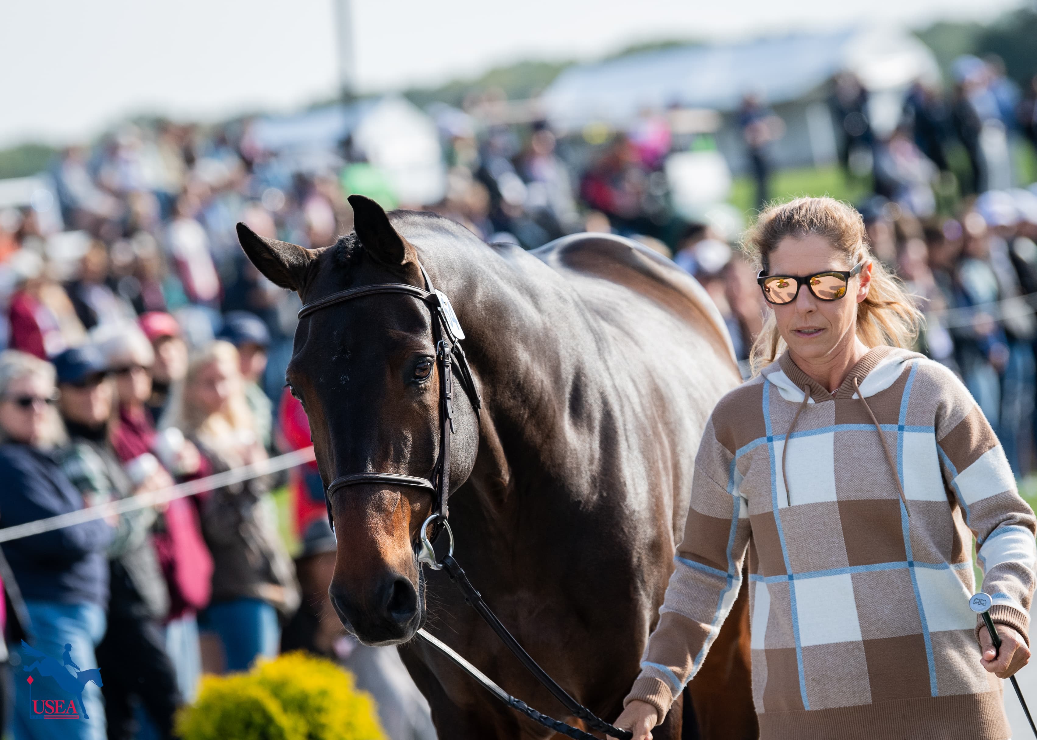 USEA/Lindsay Berreth photo