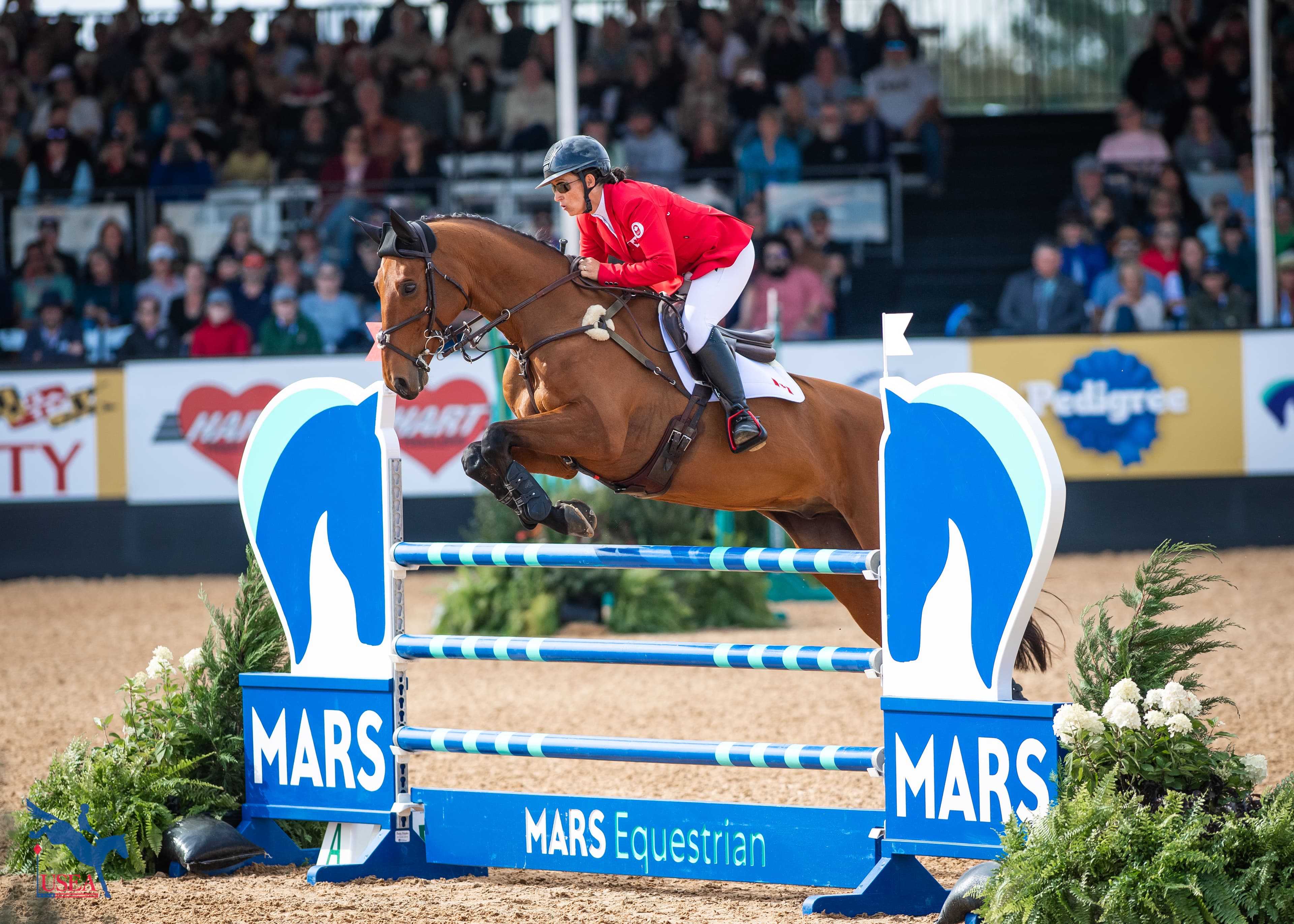 Lindsay Traisnel and Bacyrouge. USEA/Lindsay Berreth photo