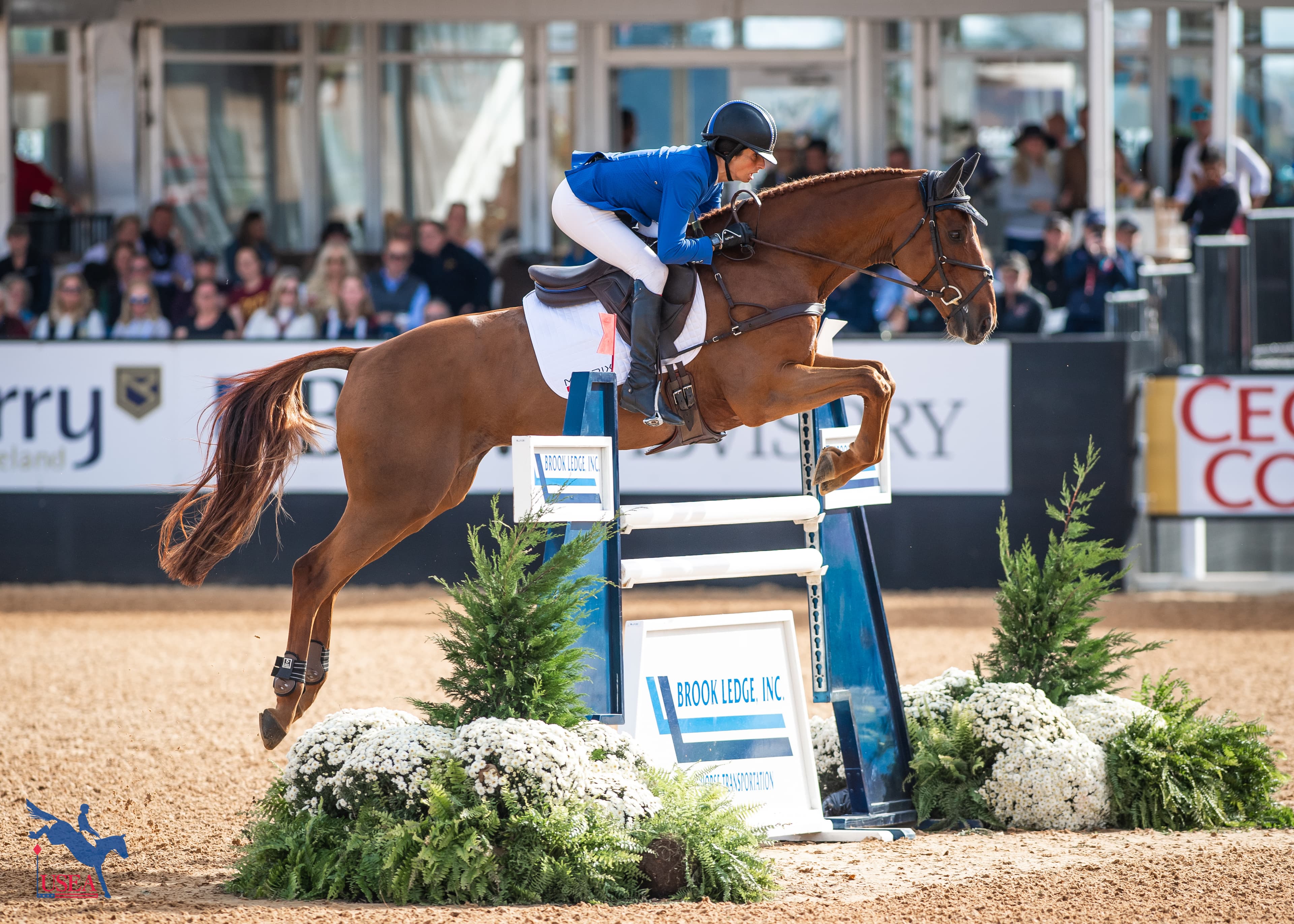 Fifth | Jennie Brannigan and FE Lifestyle. USEA/Lindsay Berreth photo