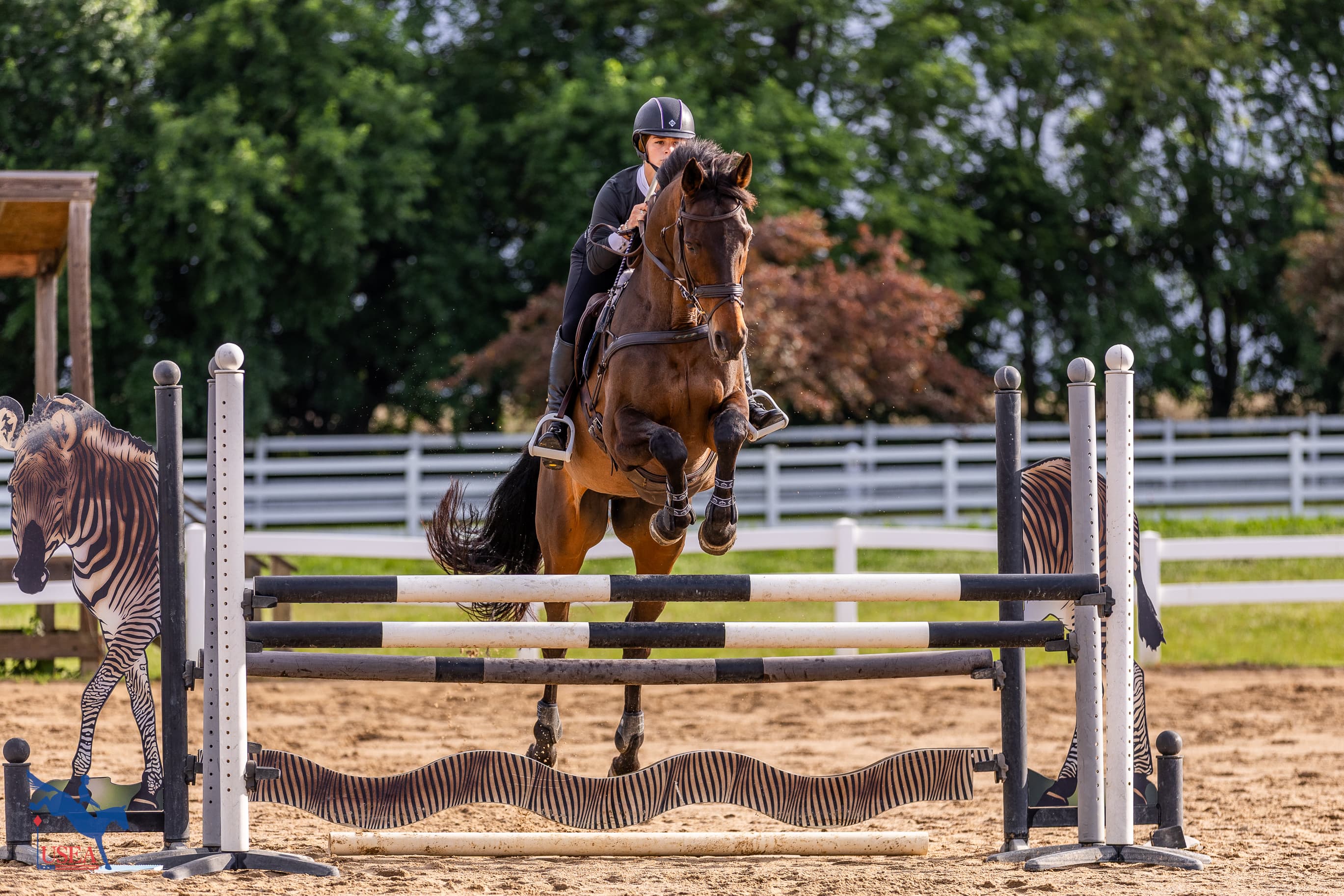 Mia Volpentesta. USEA/Haley Johnson photo