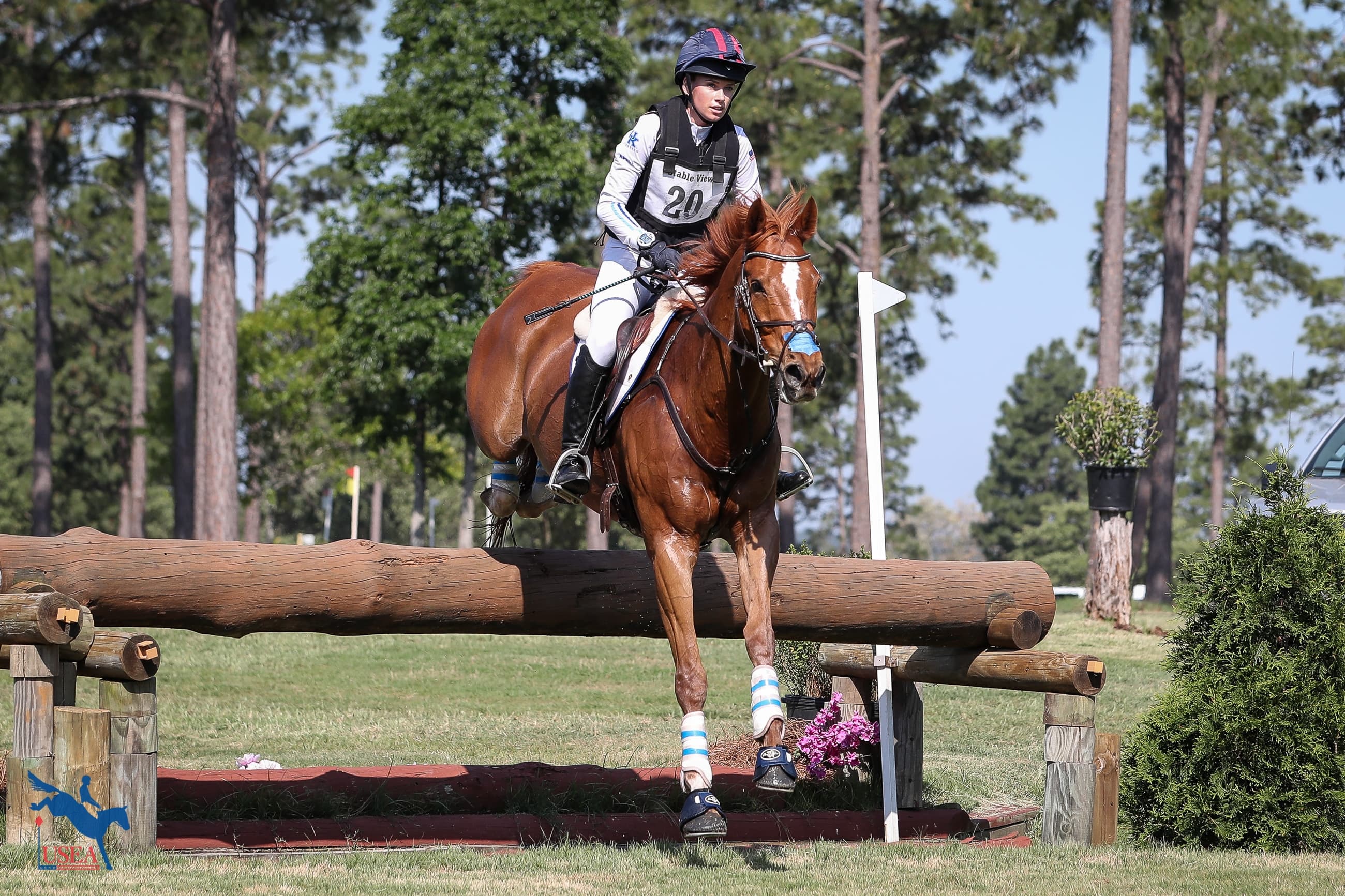 USEA/Annan Hepner photo