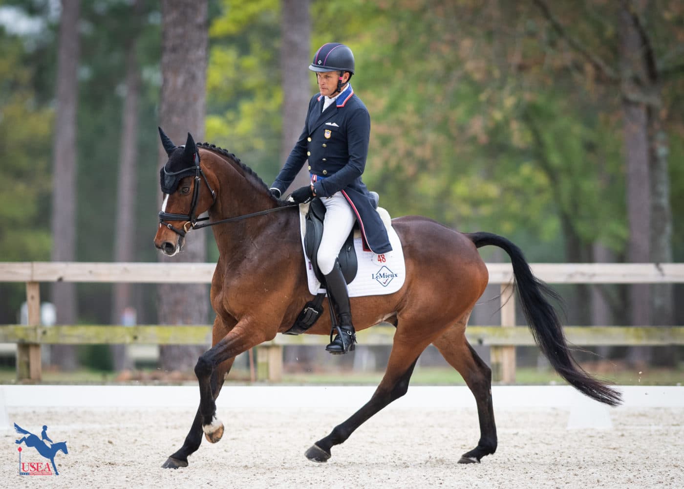 Luke 140 will head to Kentucky with a confidence-boosting run under his belt. USEA/Lindsay Berreth photo