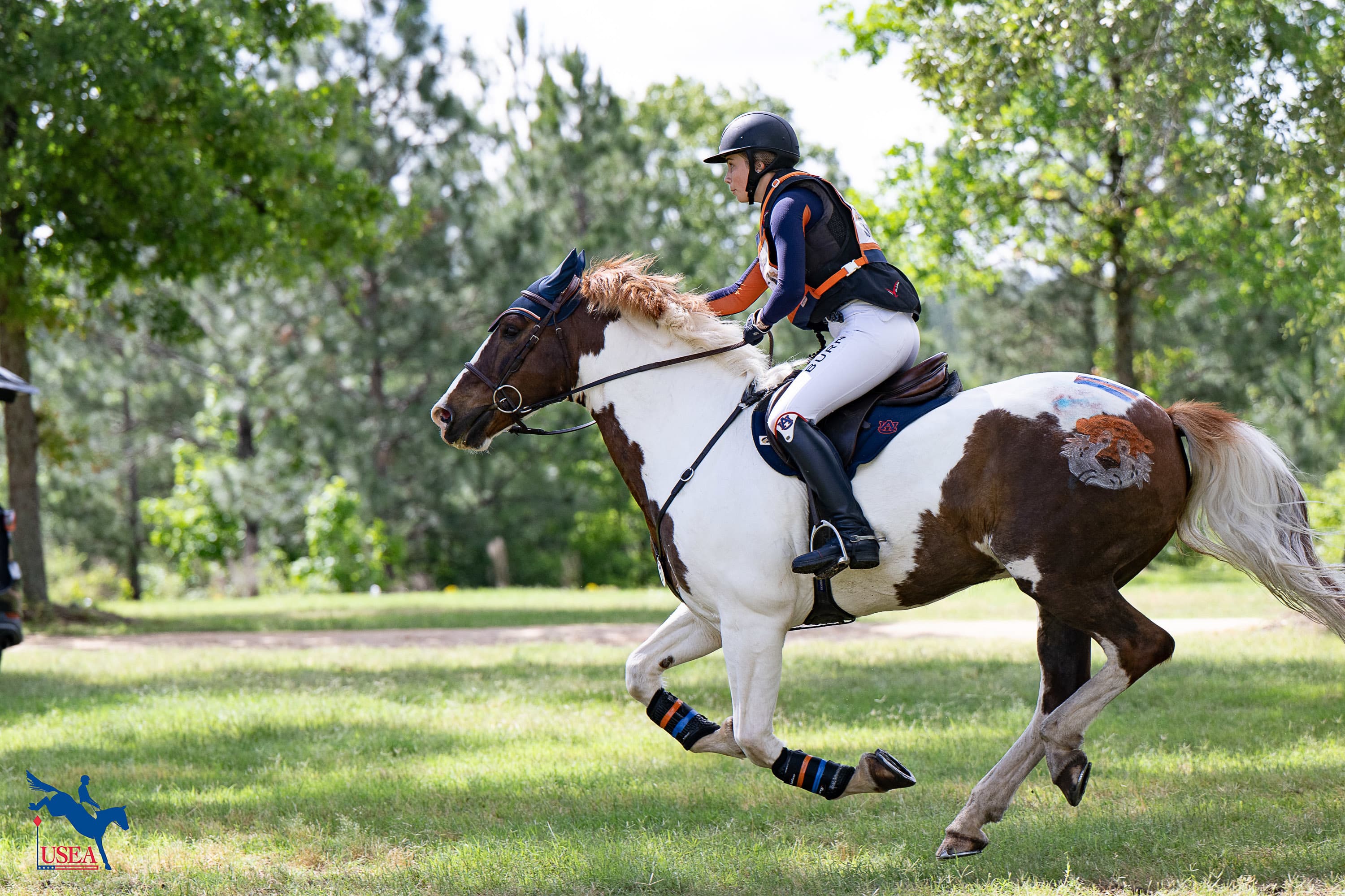 USEA/Veronica Green-Gott photo