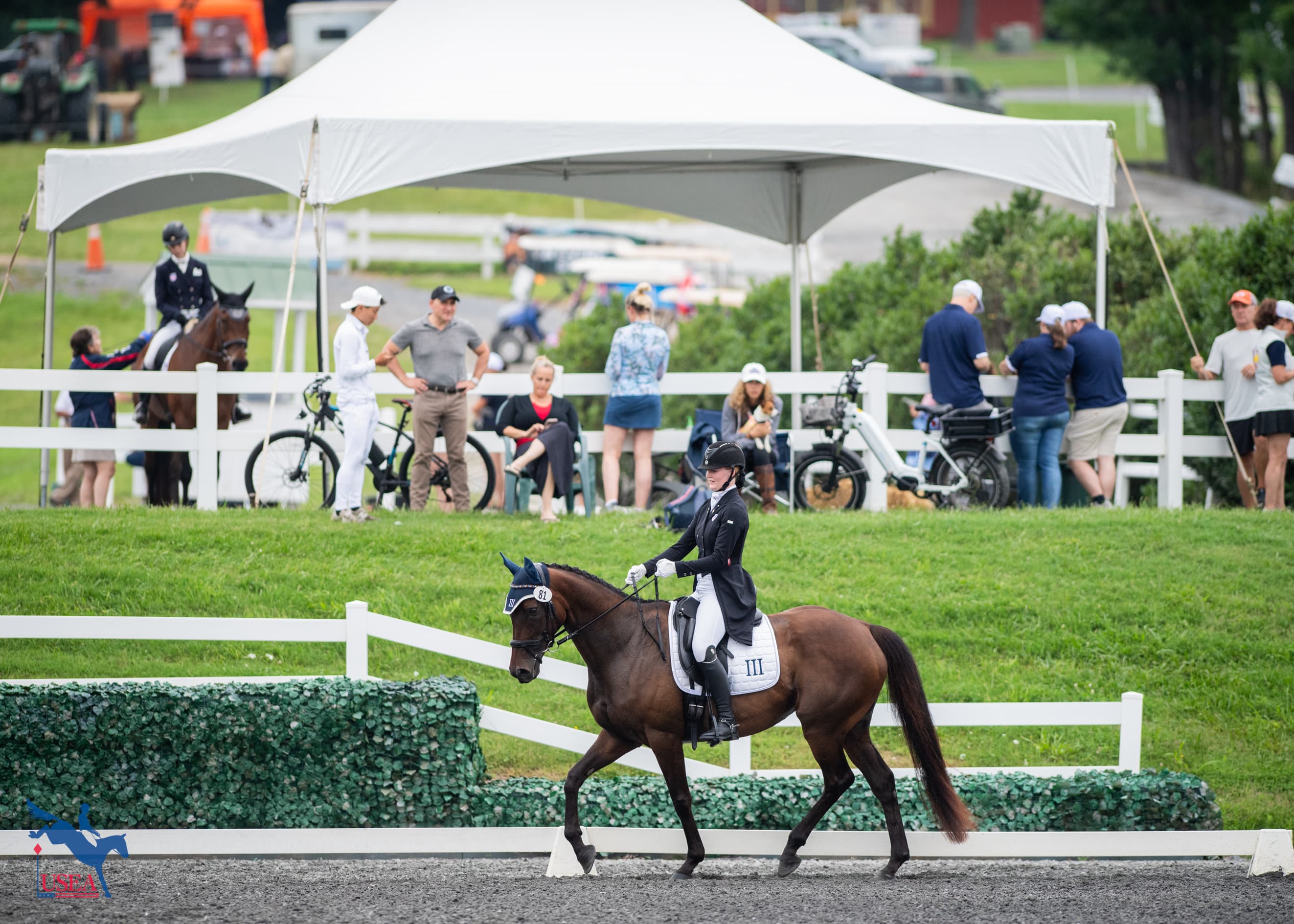 USEA/Lindsay Berreth photo