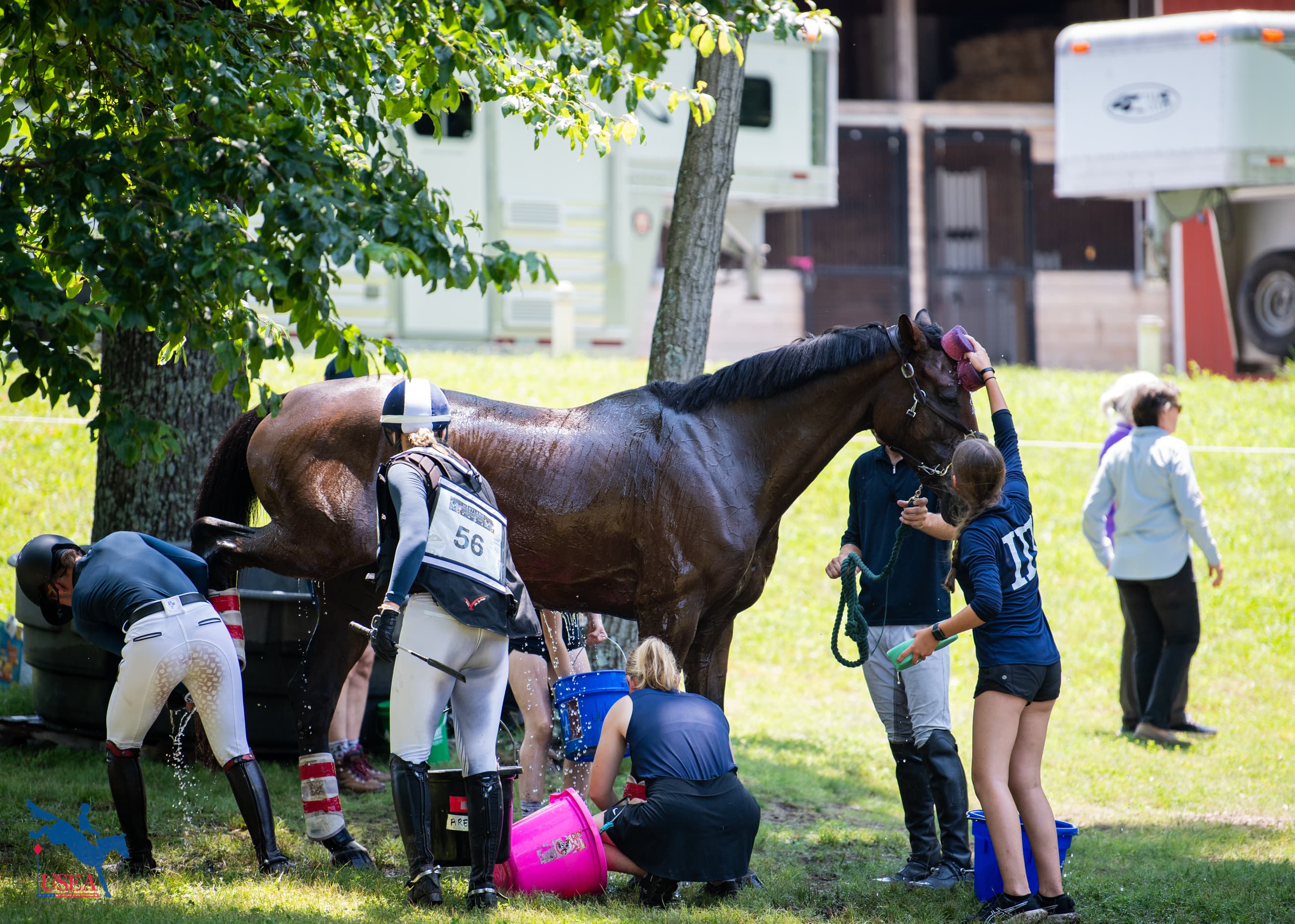 USEA/Lindsay Berreth photo