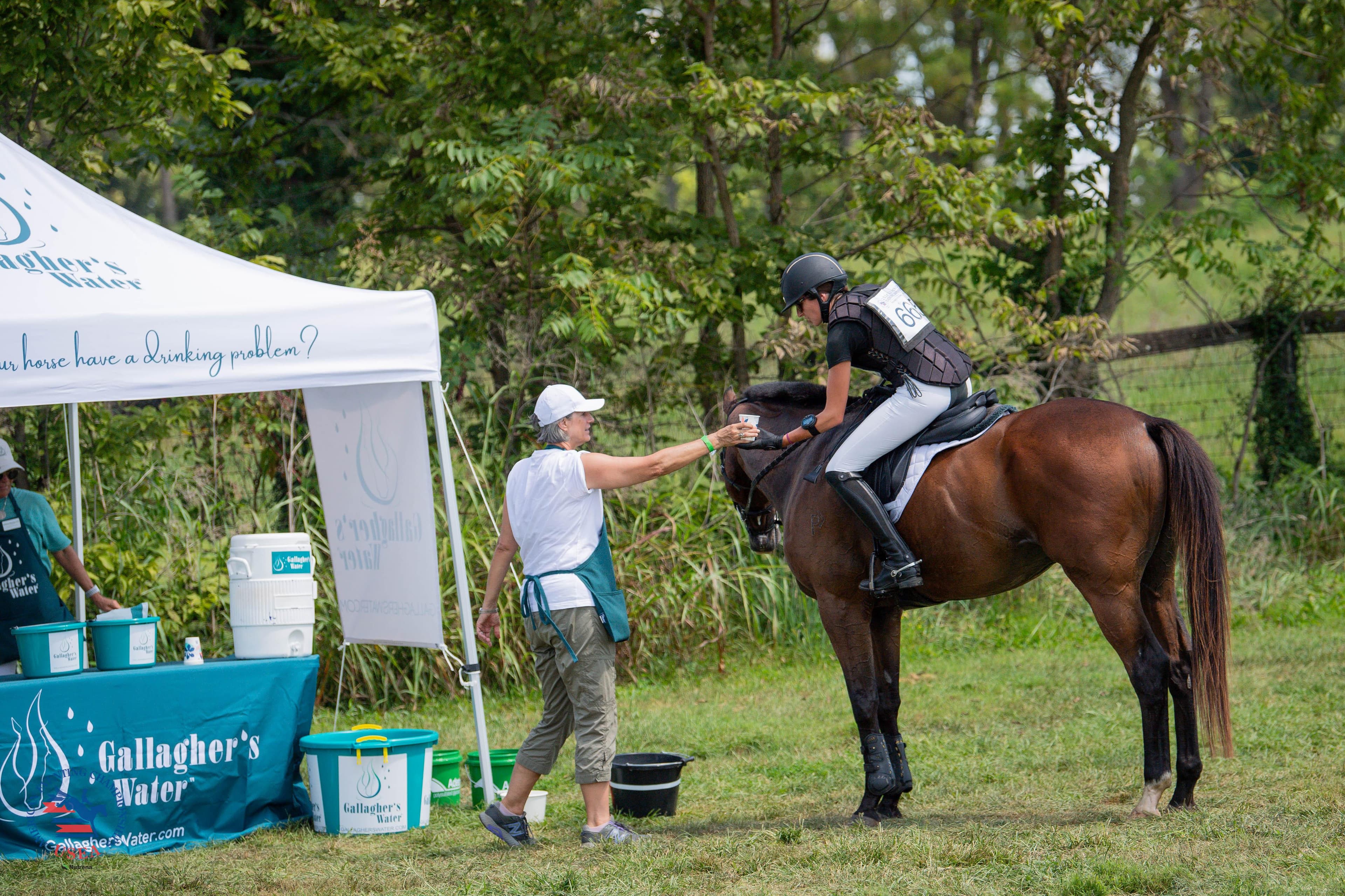 USEA/Kimberly Loushin photo